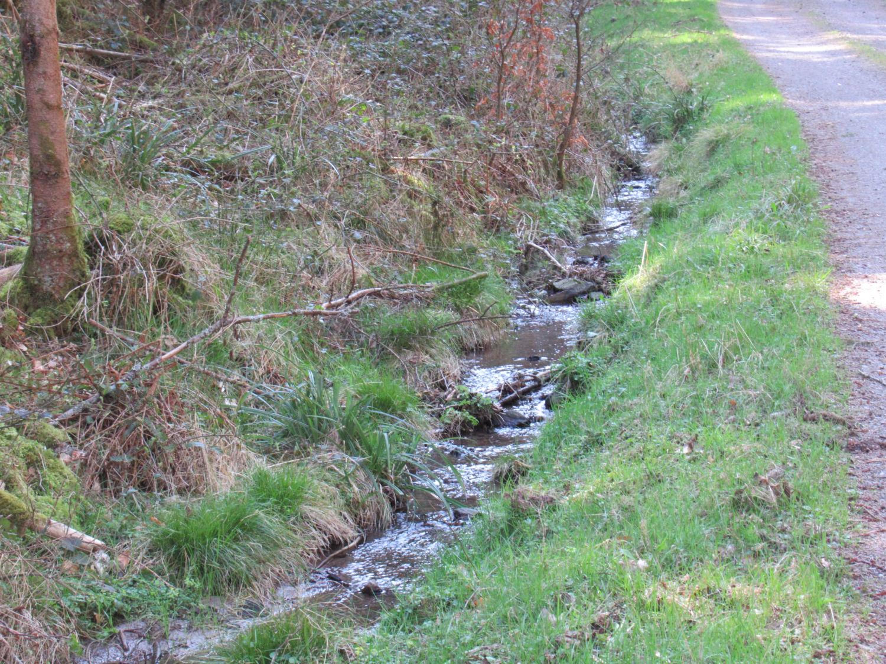 Photo 34