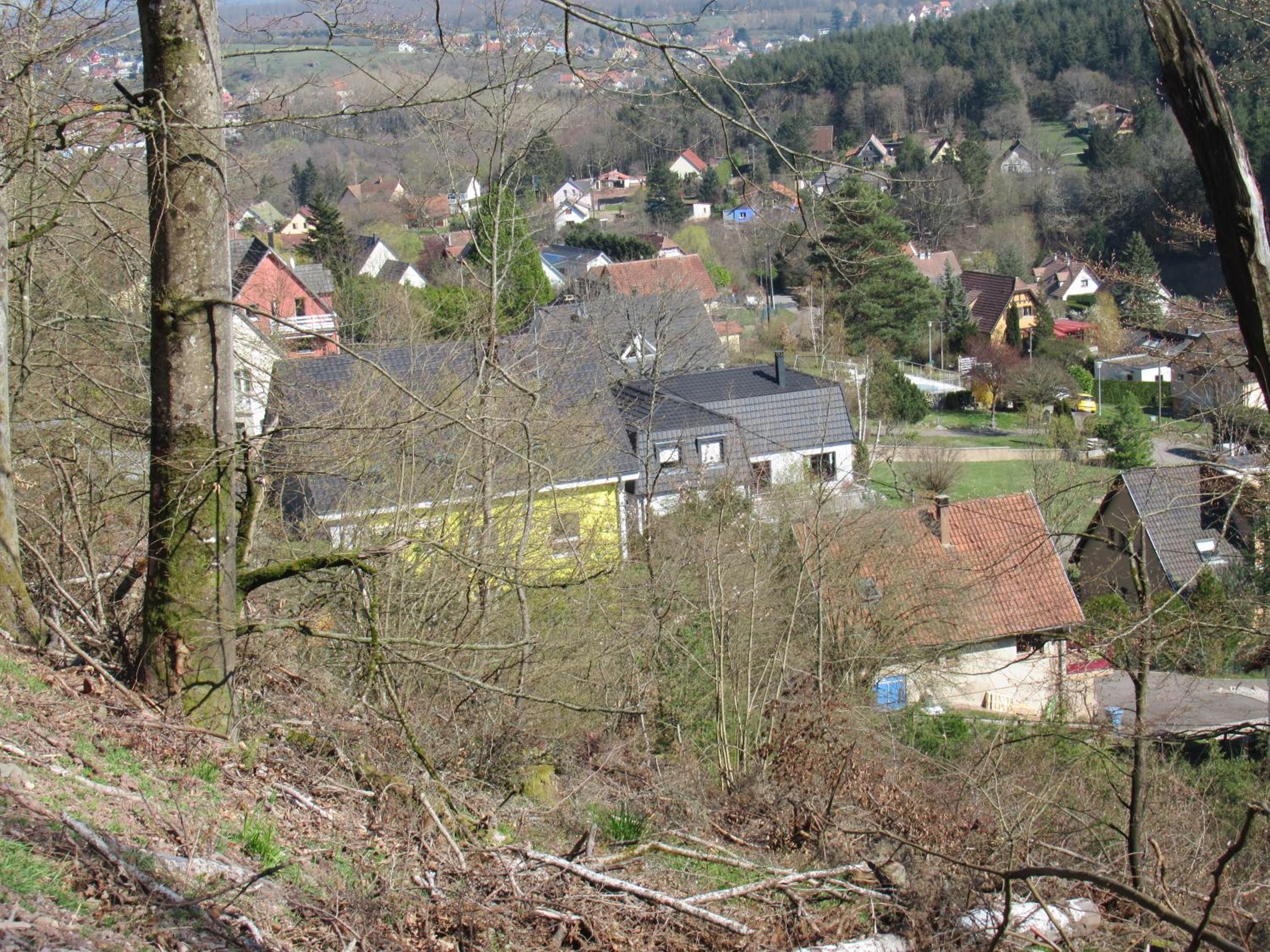 Photo 40
