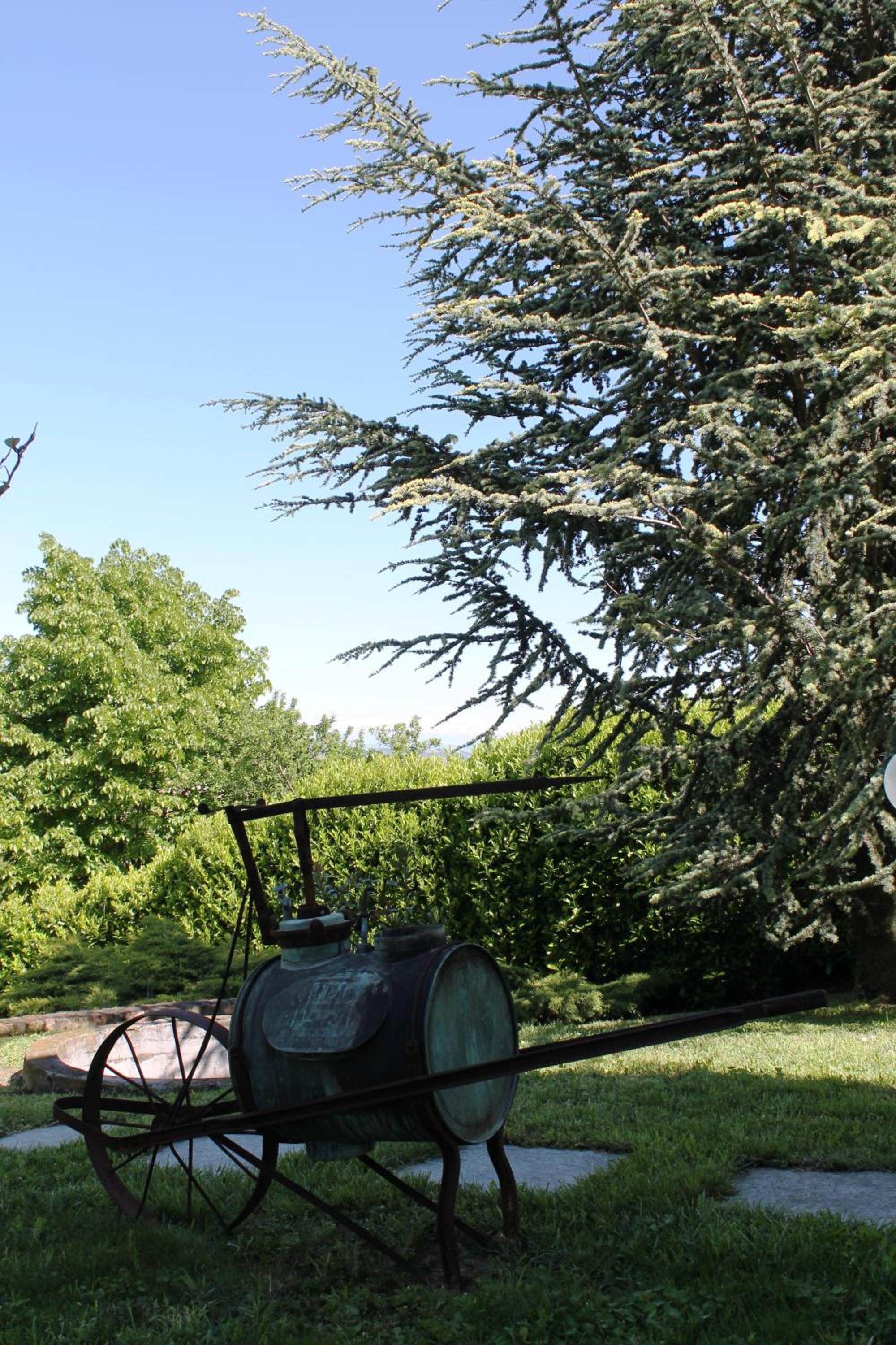Agriturismo Foravia