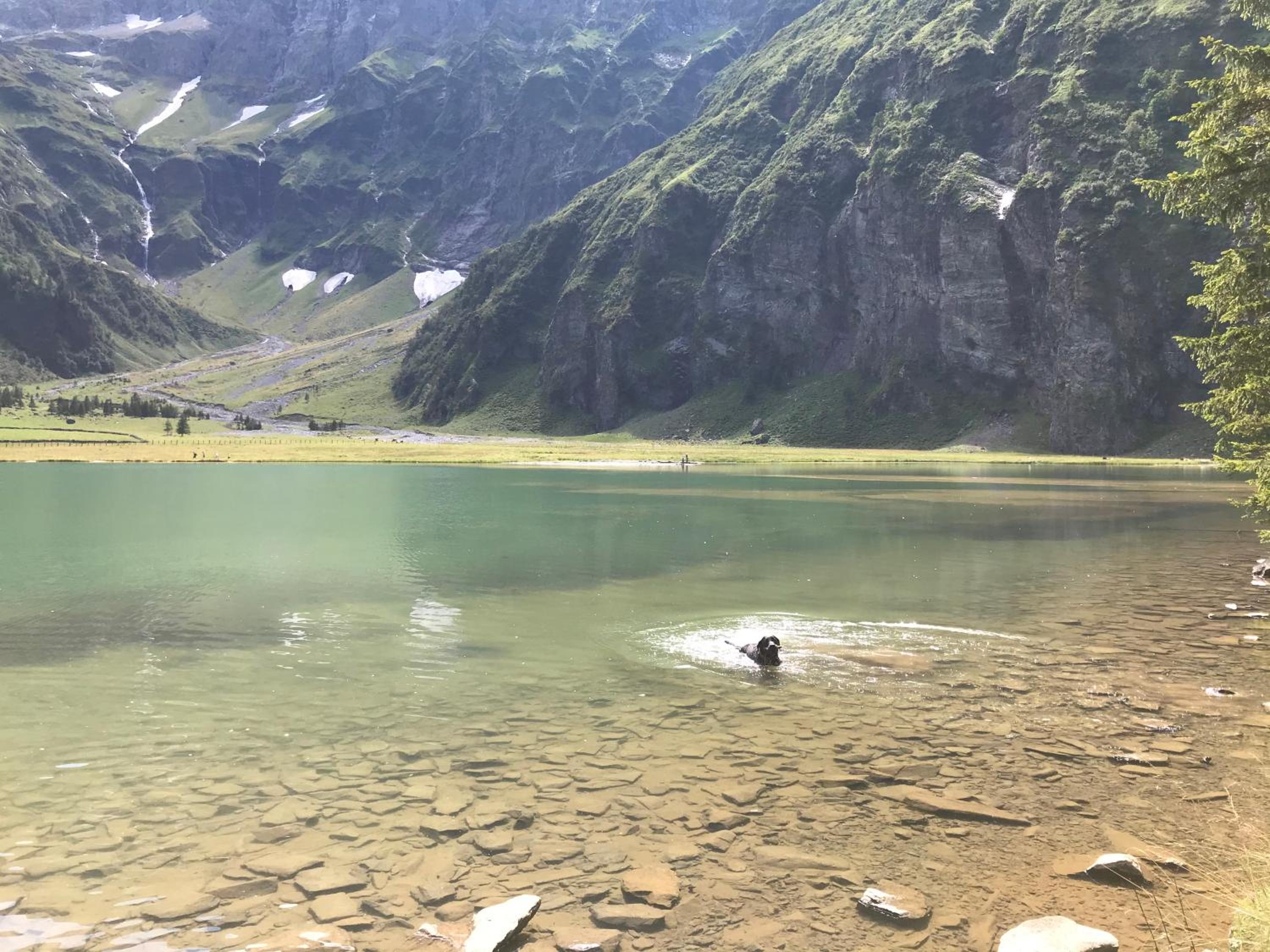 Ferienwohnung Wildkogelblick