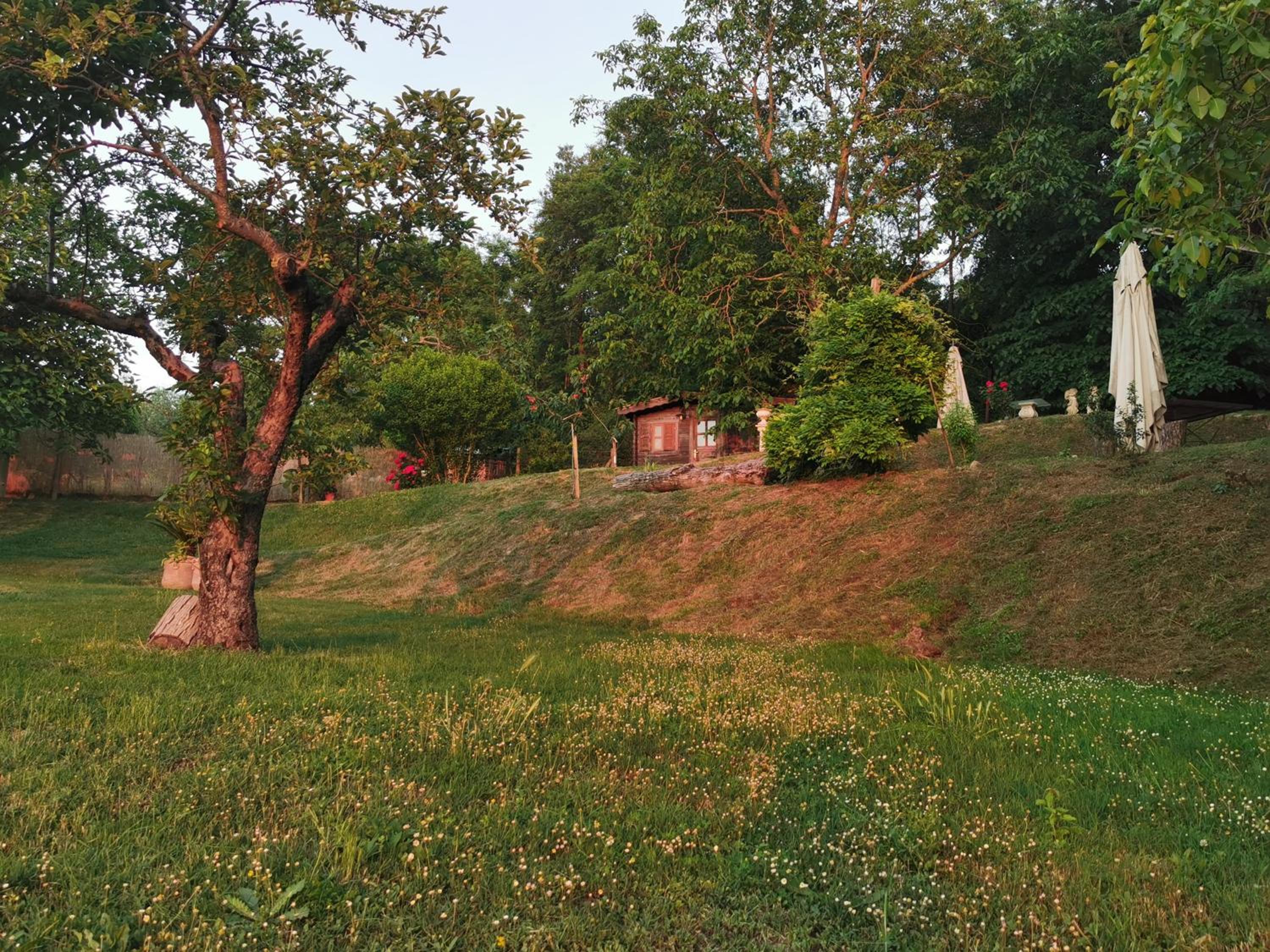 Photo 47