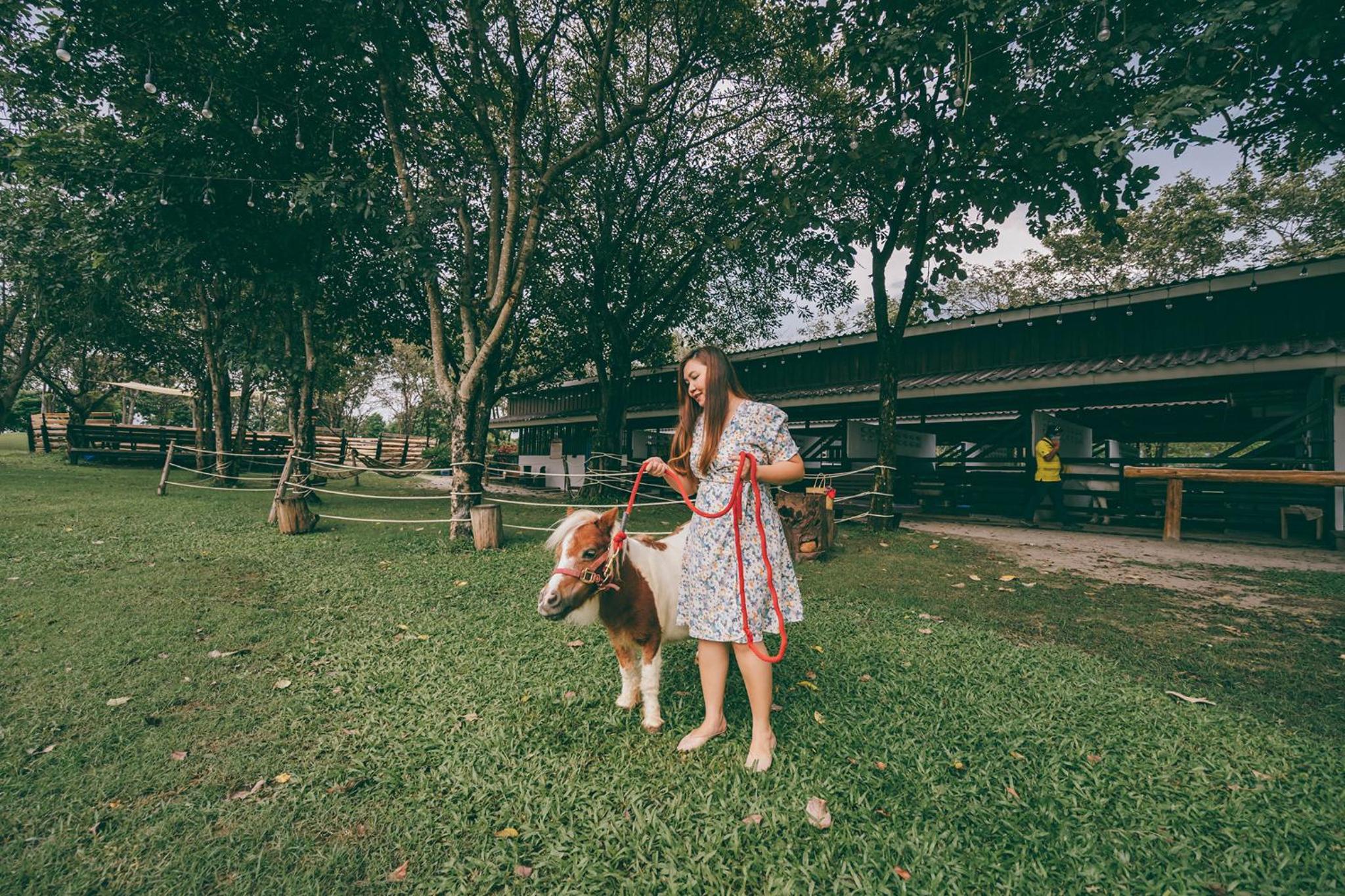 Rancho Charnvee Resort & Country Club Khaoyai