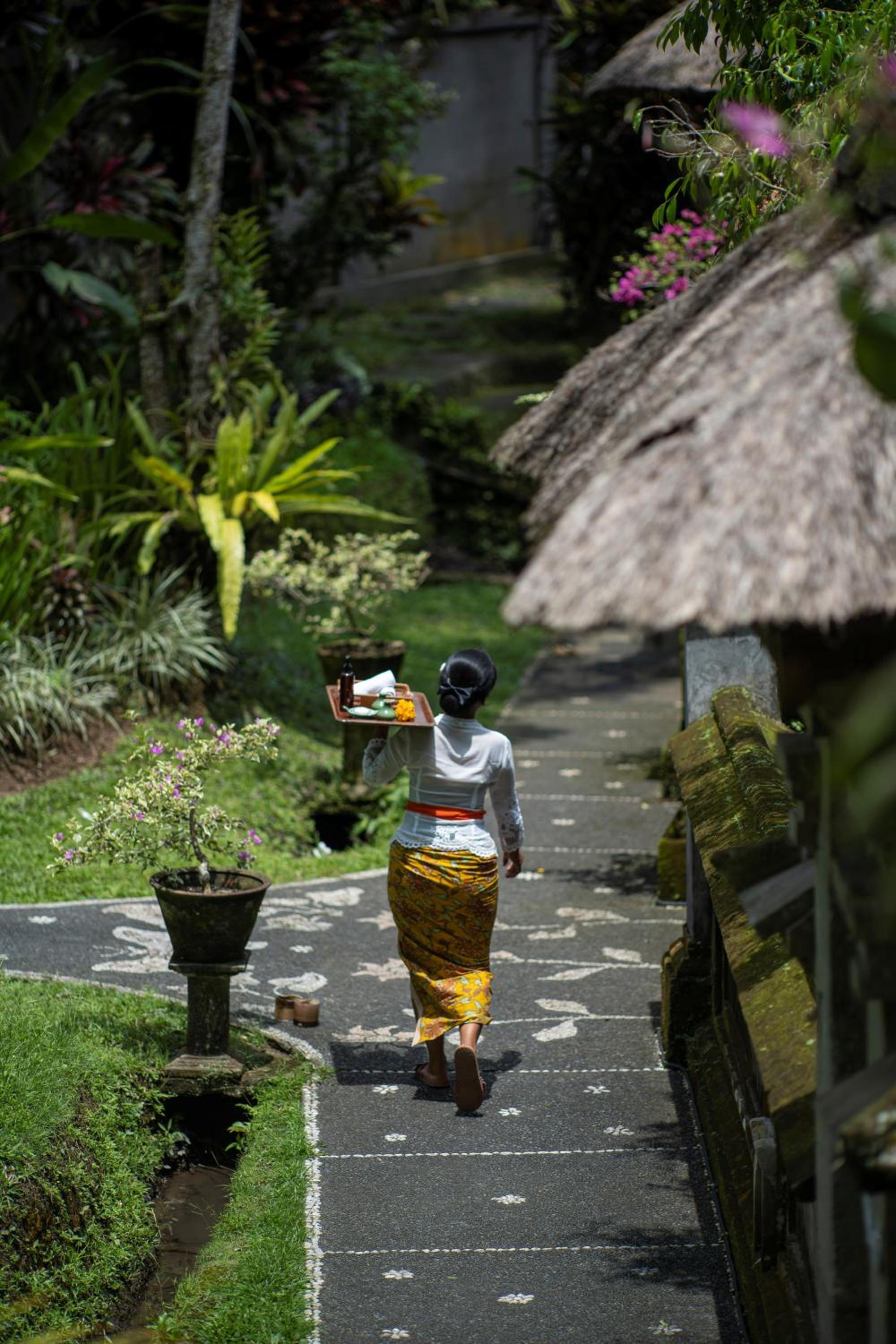 Alam Jiwa Ubud