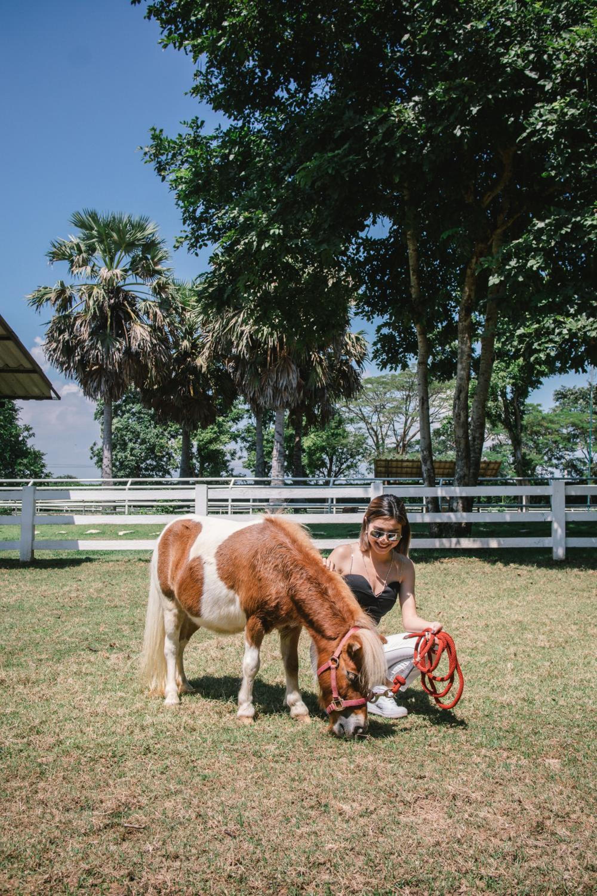Rancho Charnvee Resort & Country Club Khaoyai