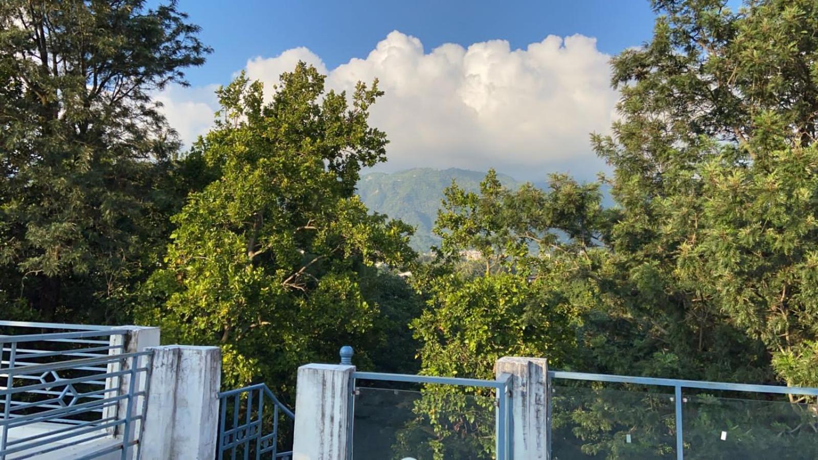 Malsi Hill View Homestays view 3