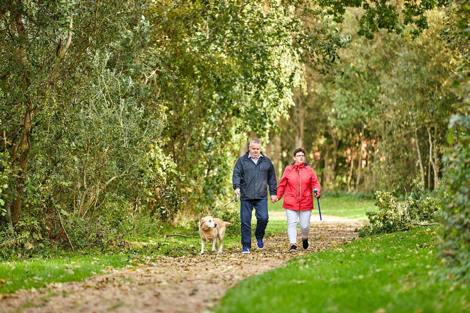 Vakantiepark Hof van Zeeland