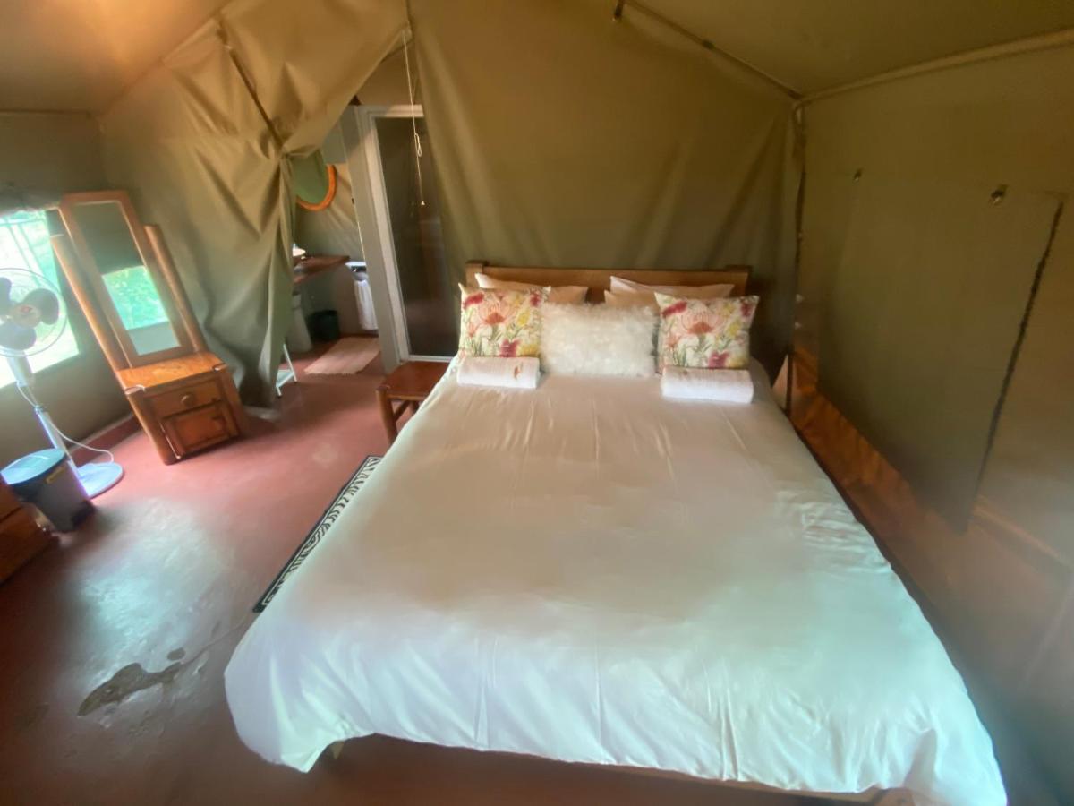 Limpopo Bushveld Retreat