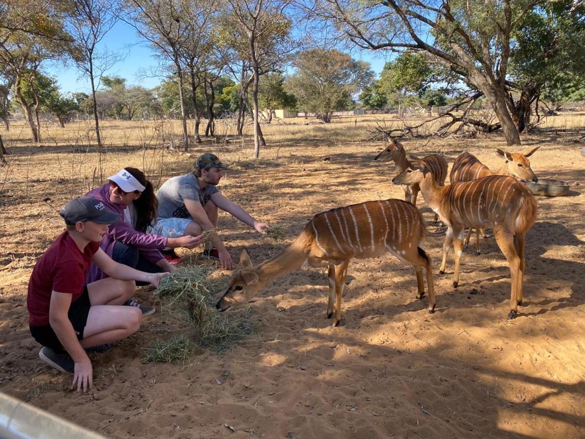 Limpopo Bushveld Retreat