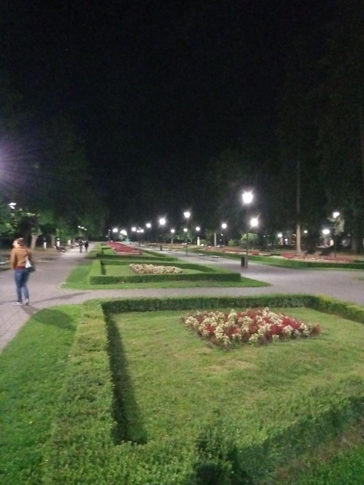 Photo 24