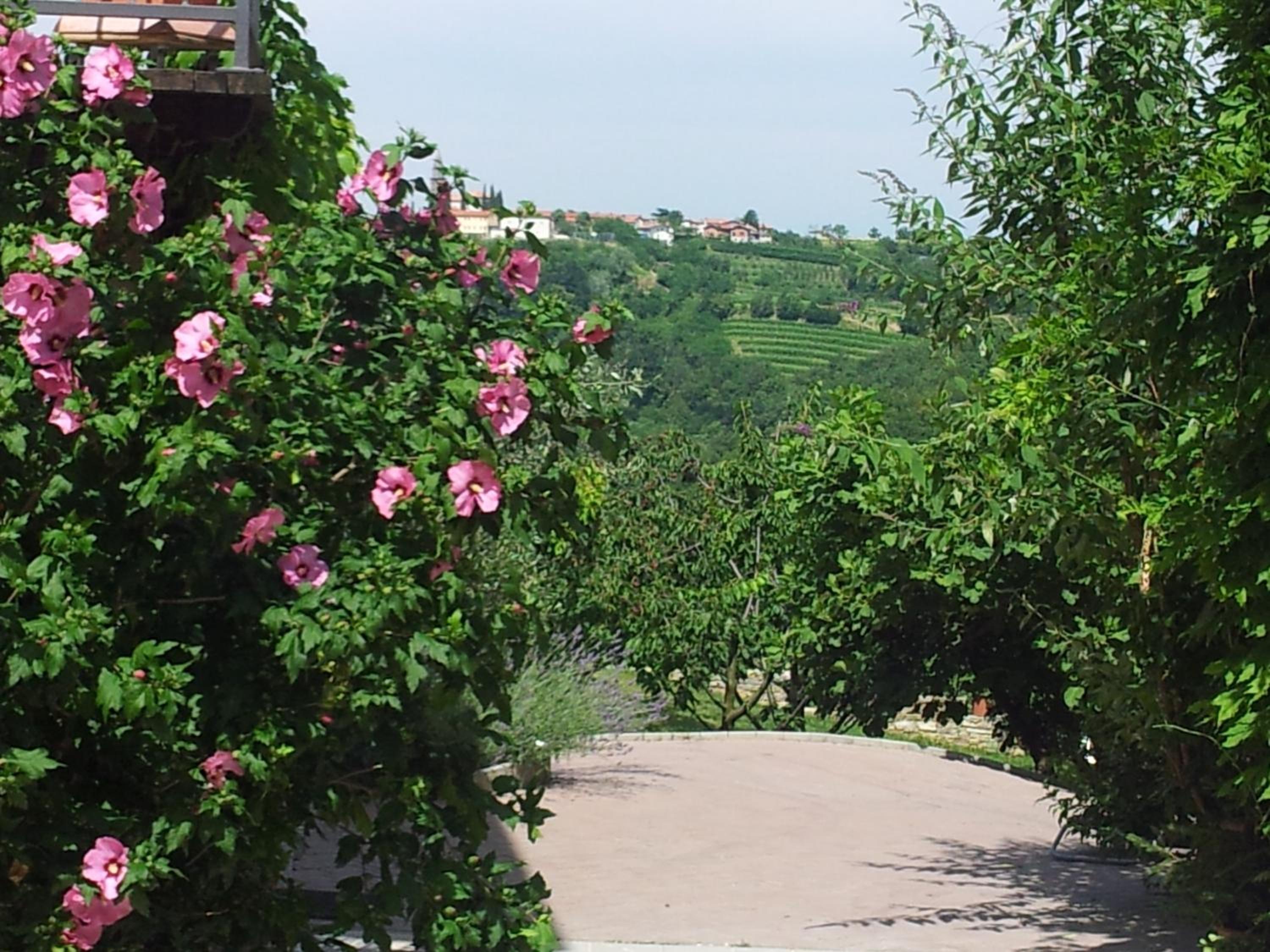 Boutique Hotel Dvor