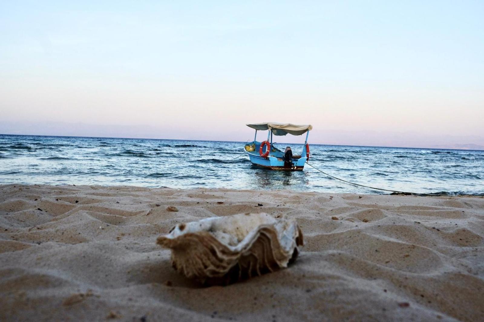 Magic land taba camp