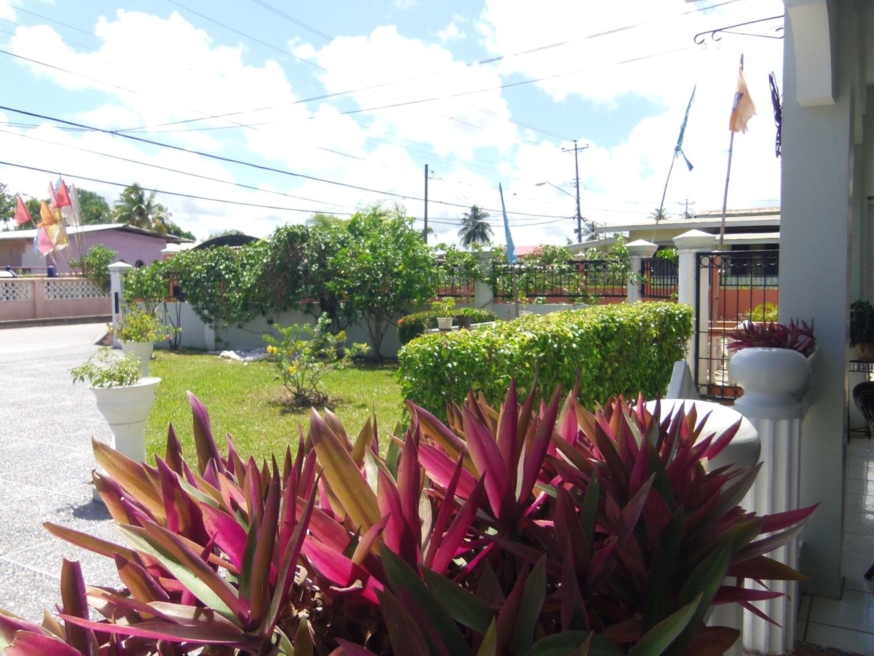 Photo 7