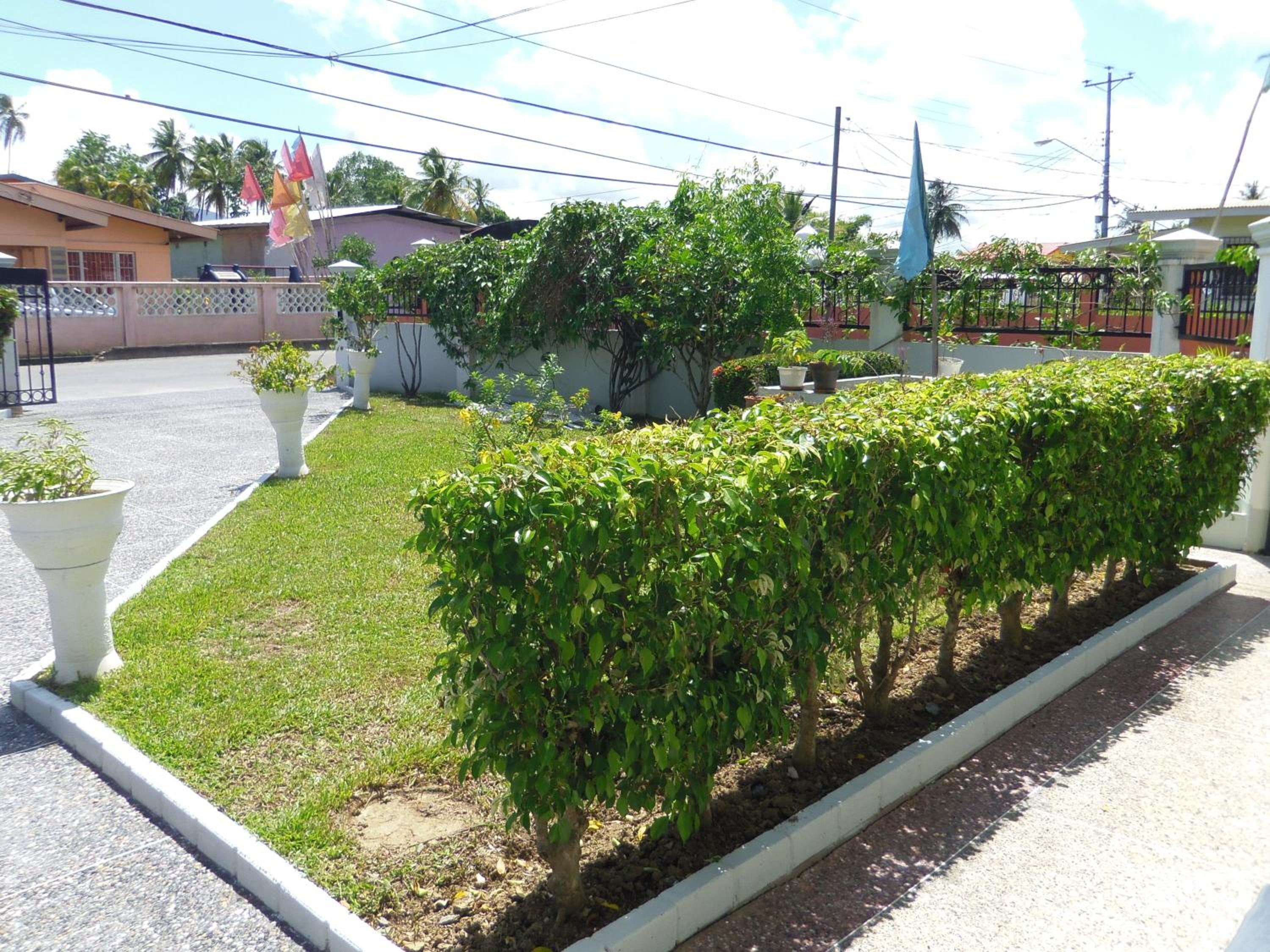 Photo 8