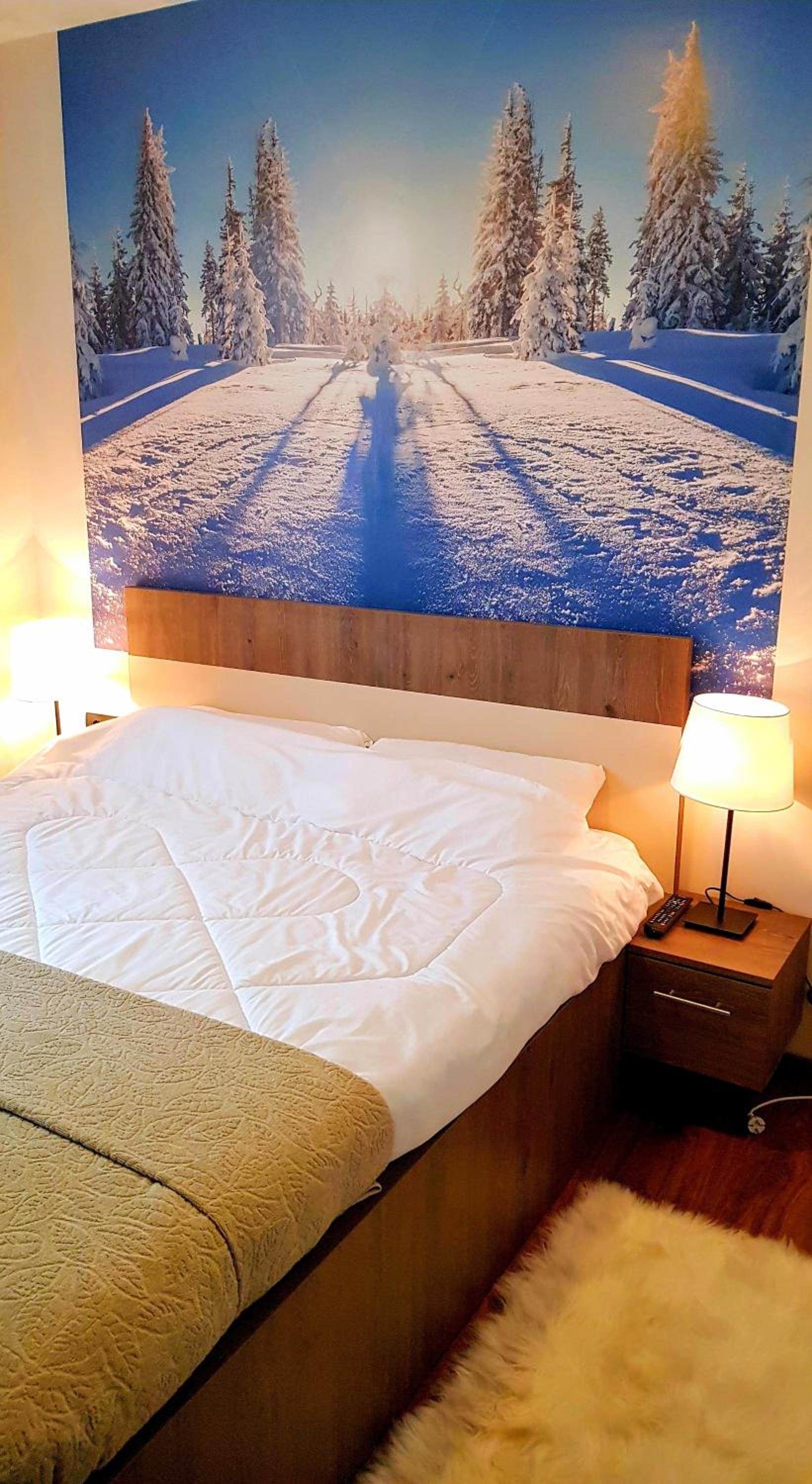 WELLKOP Apartman Kopaonik view 2