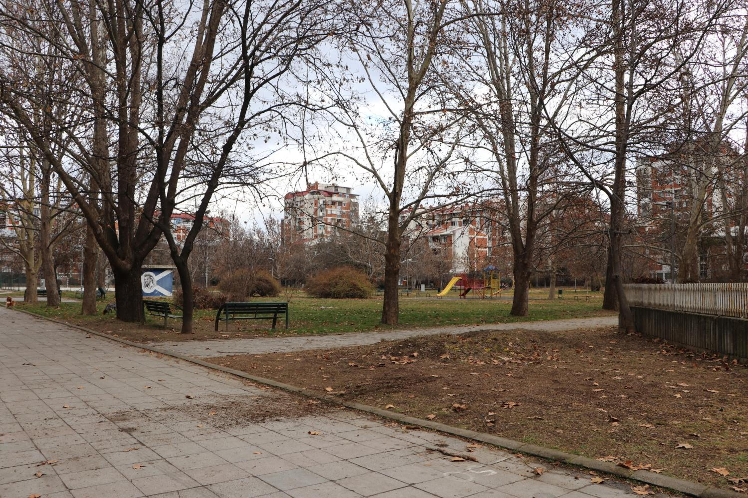 Photo 7