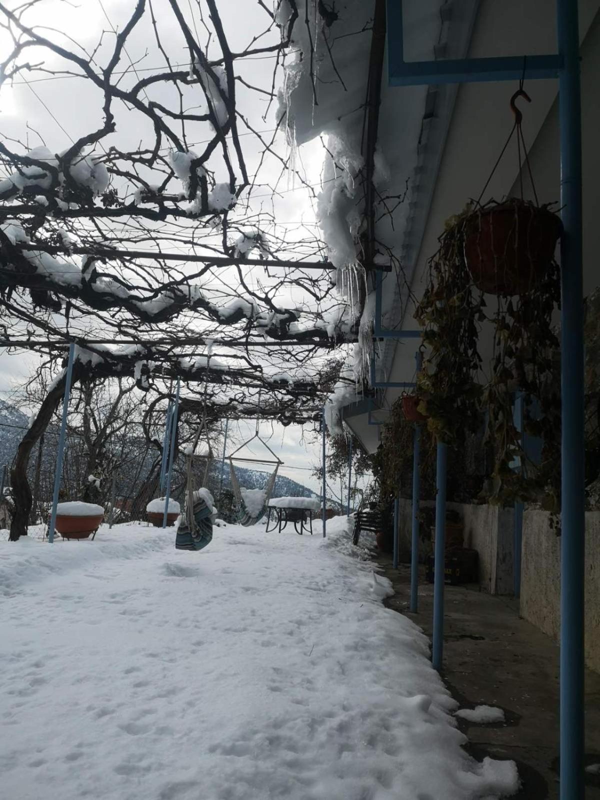 Holiday House Prodromos