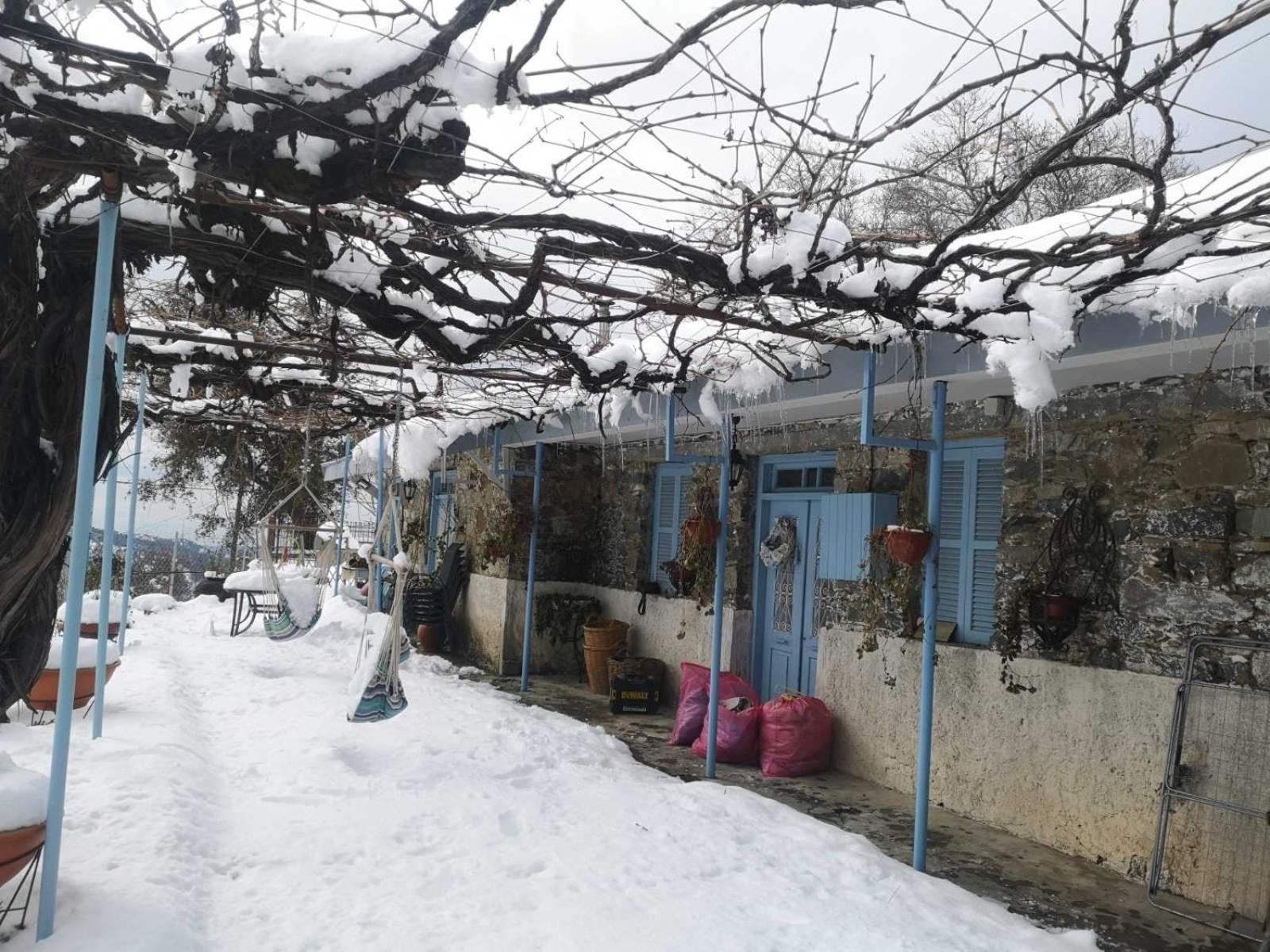 Holiday House Prodromos