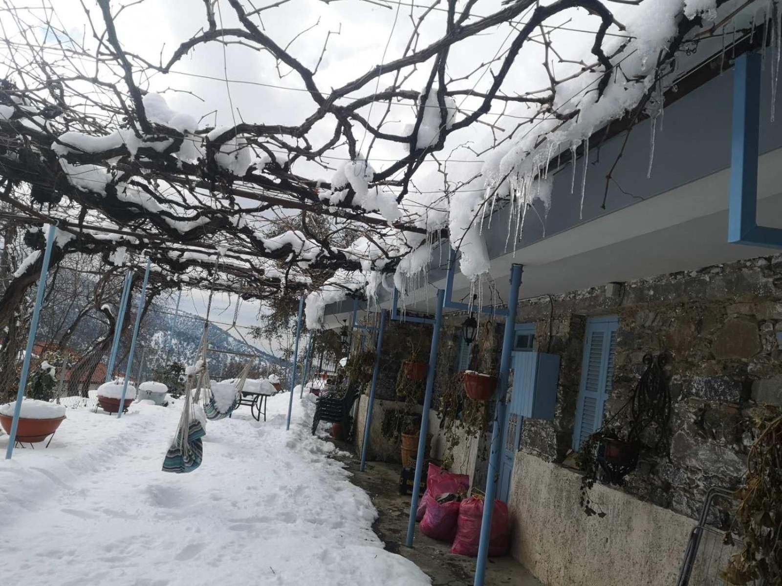 Holiday House Prodromos
