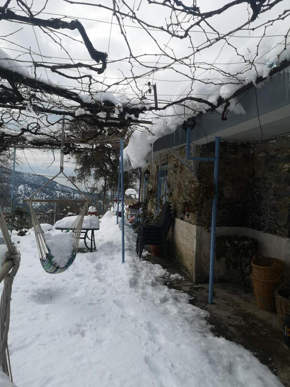 Holiday House Prodromos