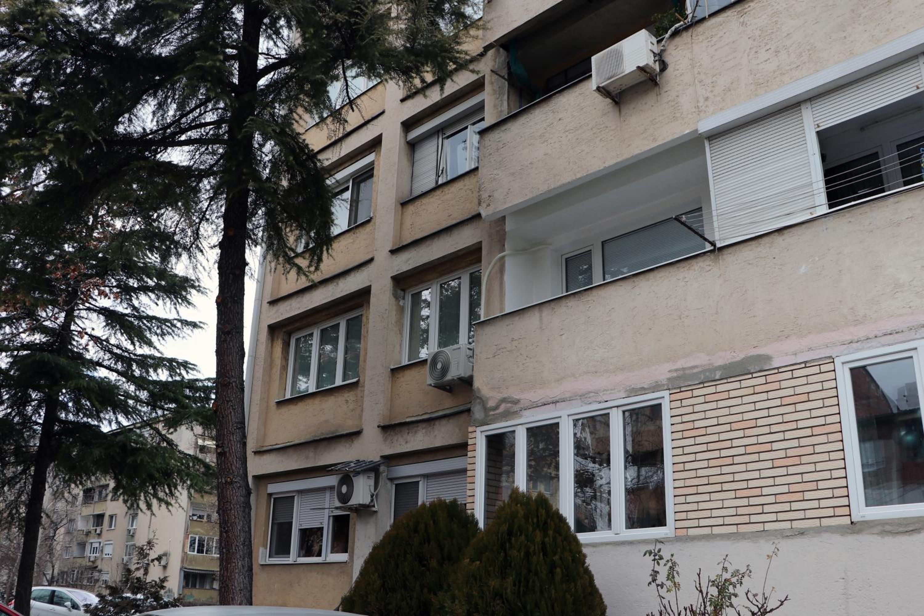 Spacious modern apartment Kisela Voda view 2