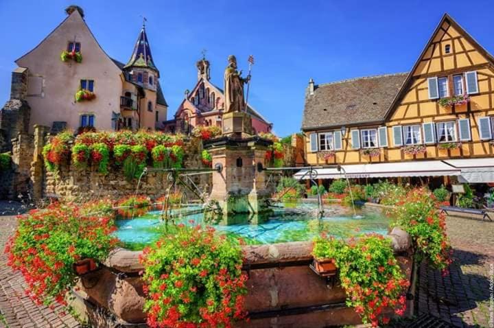L'ambassadeur - Colmar centre