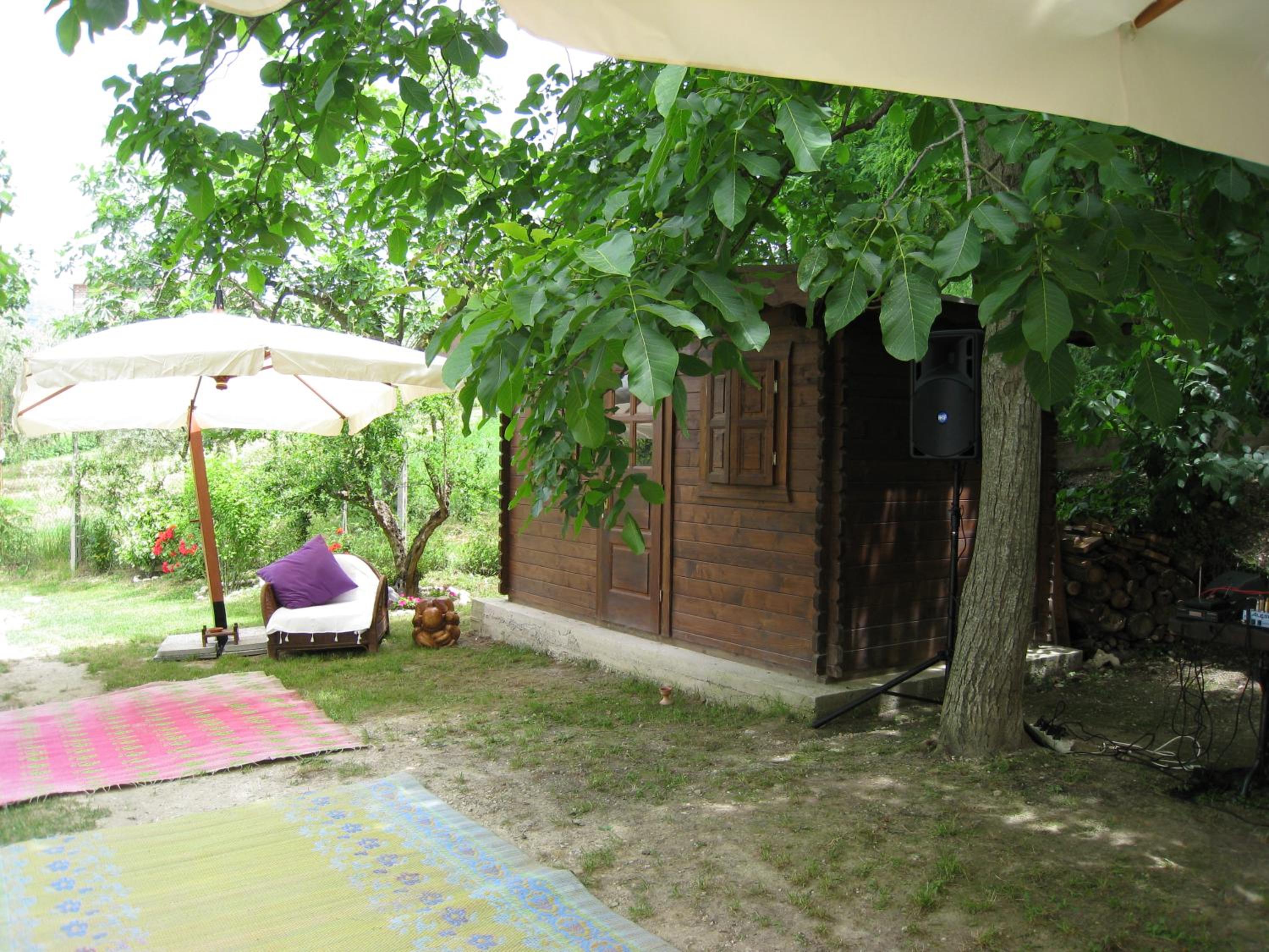 Photo 6