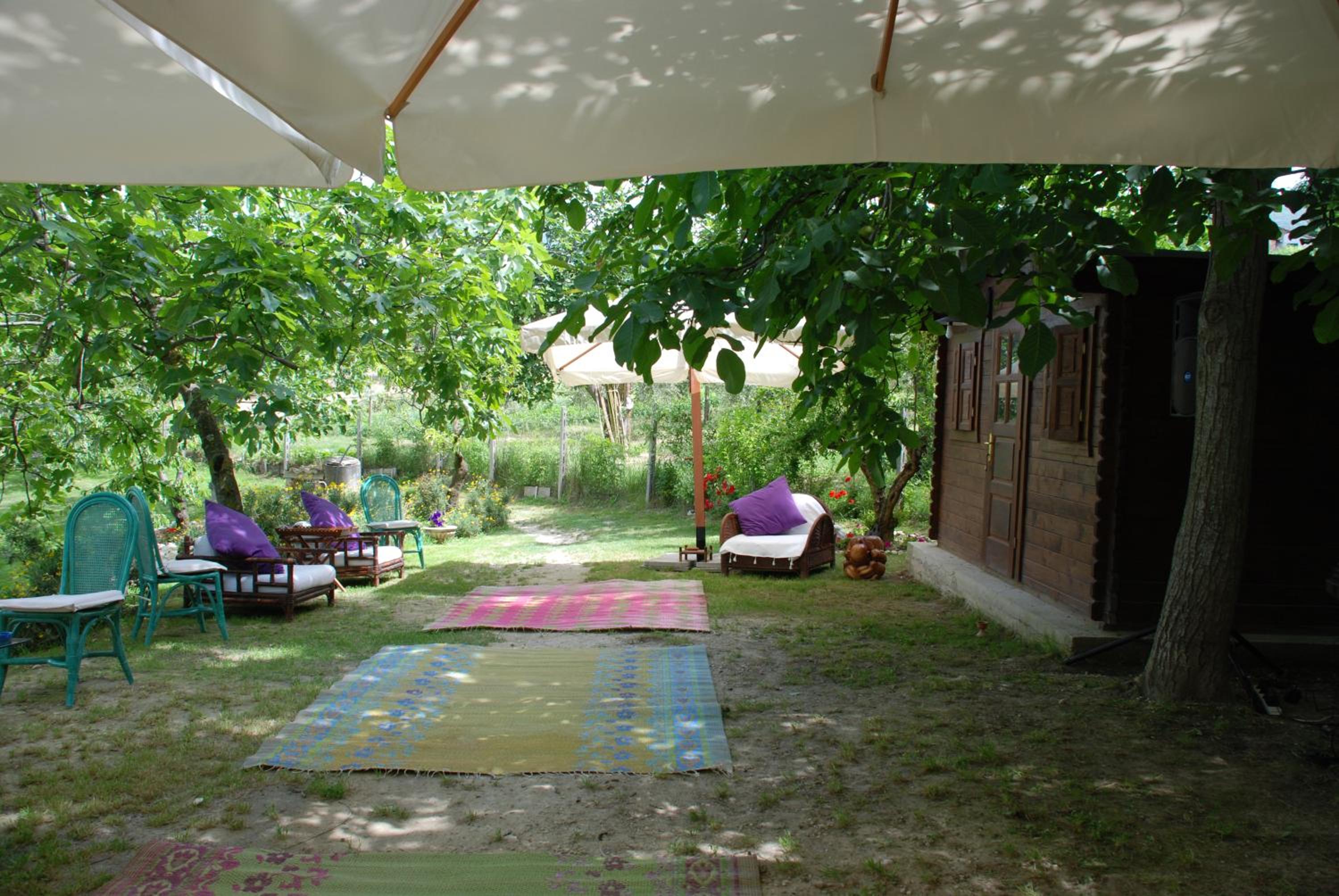 Photo 7