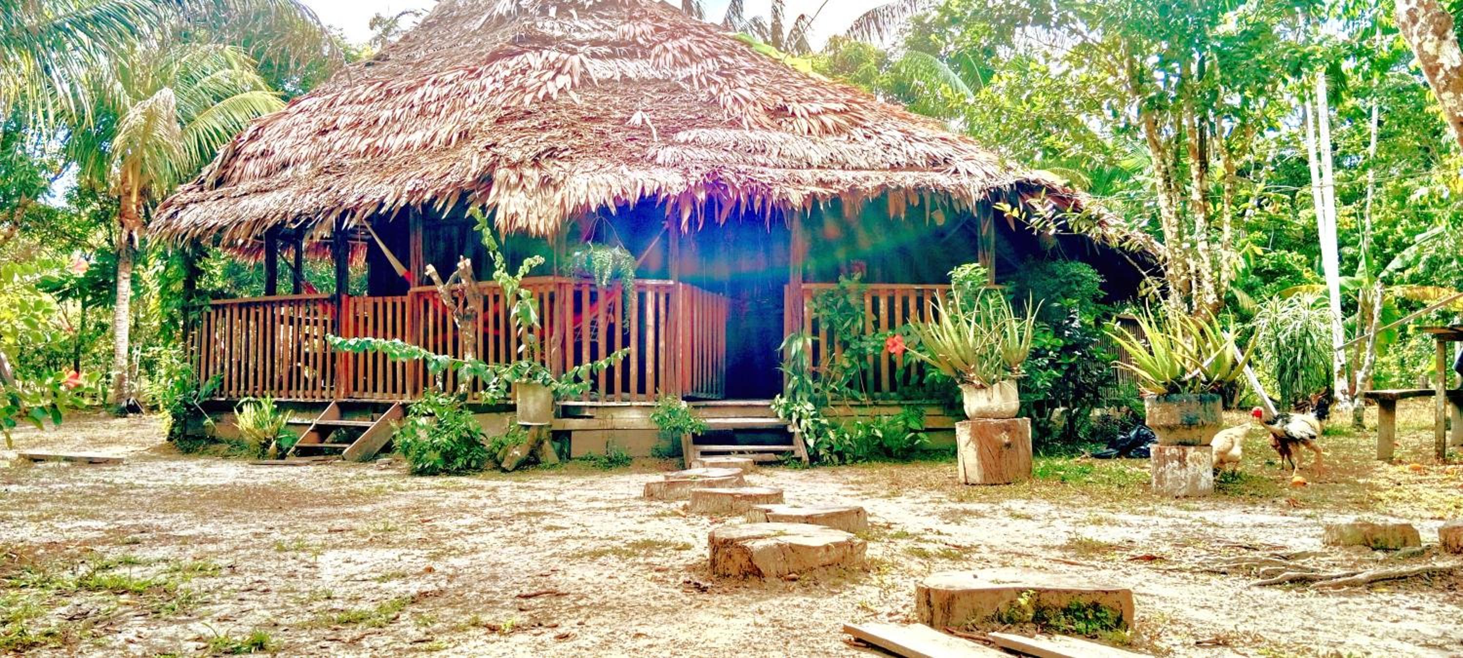Bungalow In The Jungle -Ecolodge HUITOTO
