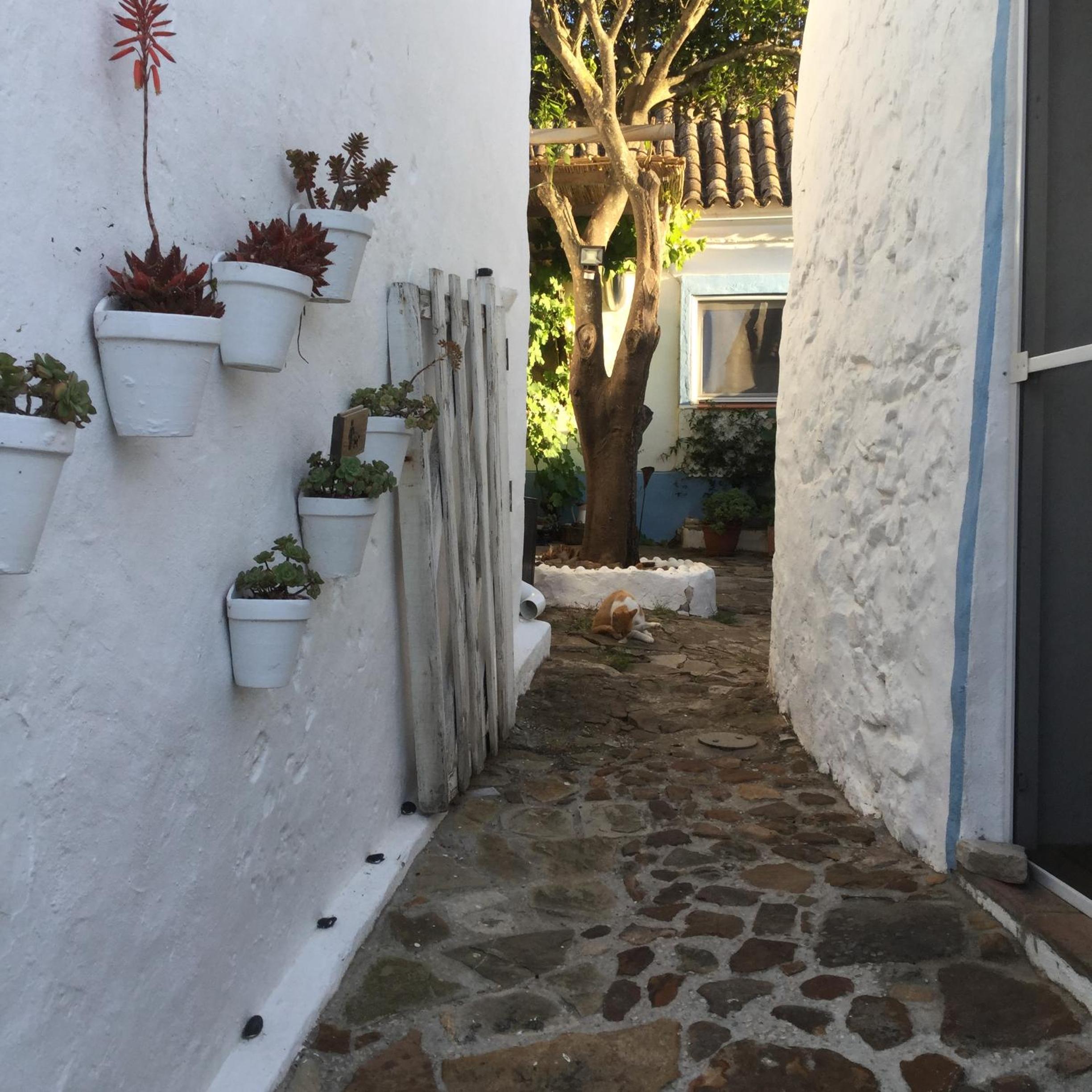 Encanto Rural con Jardín privado y Chimenea