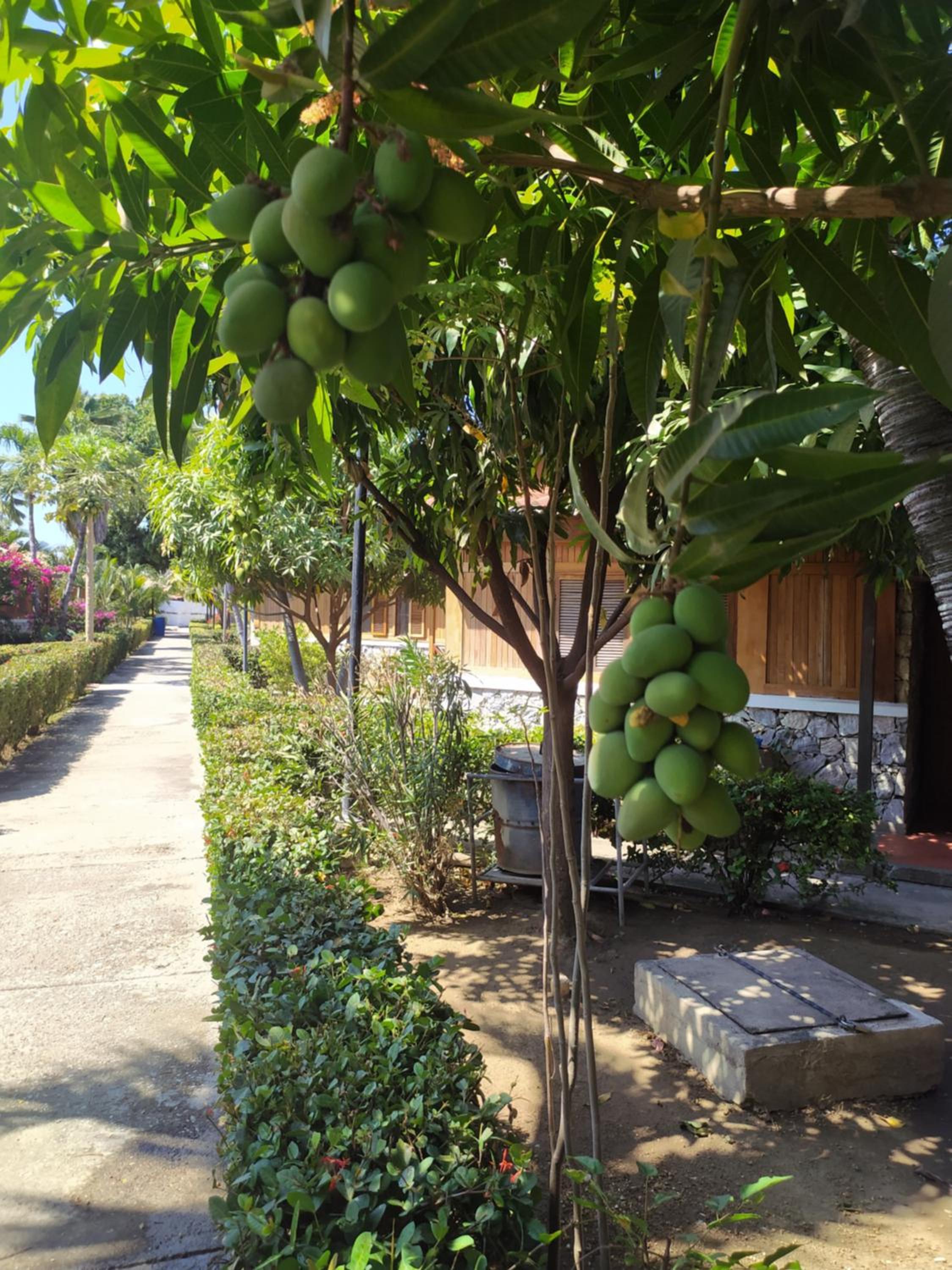 Chalet Condominio Campestre Rodadero Santa Marta wifi Piscina Amplia
