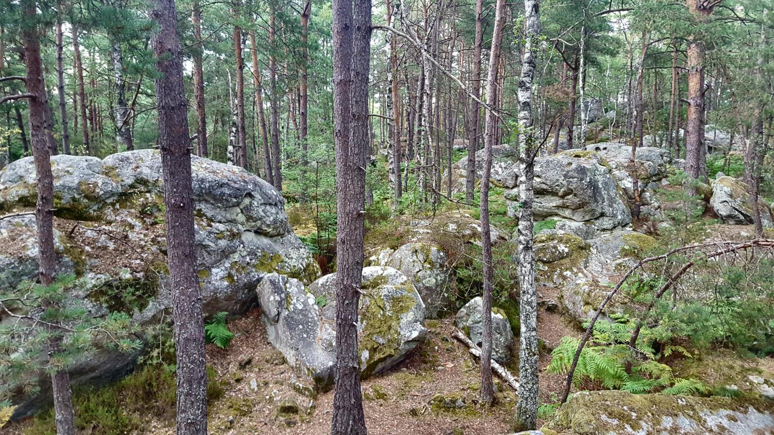 Photo 24