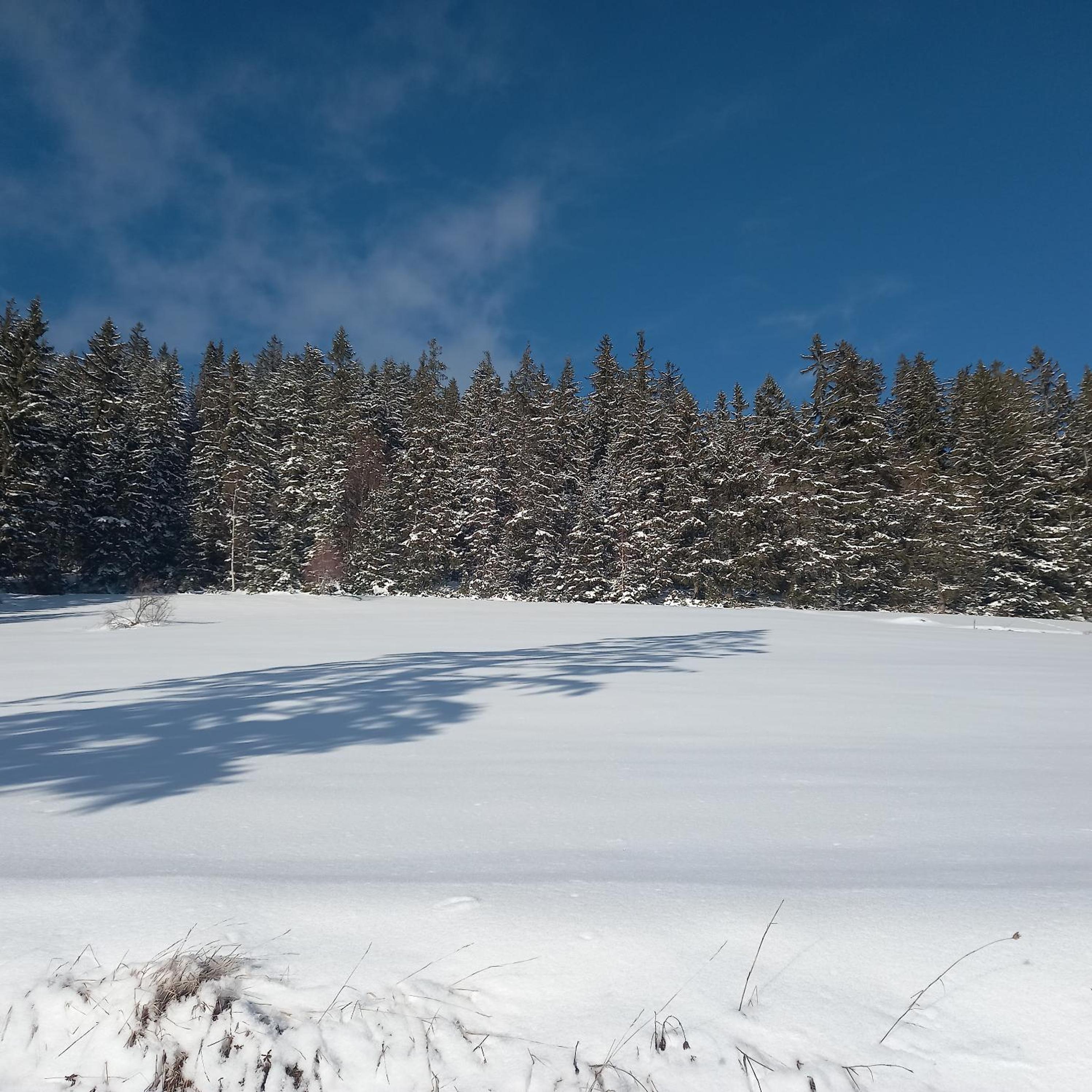 Vikendice Jasen