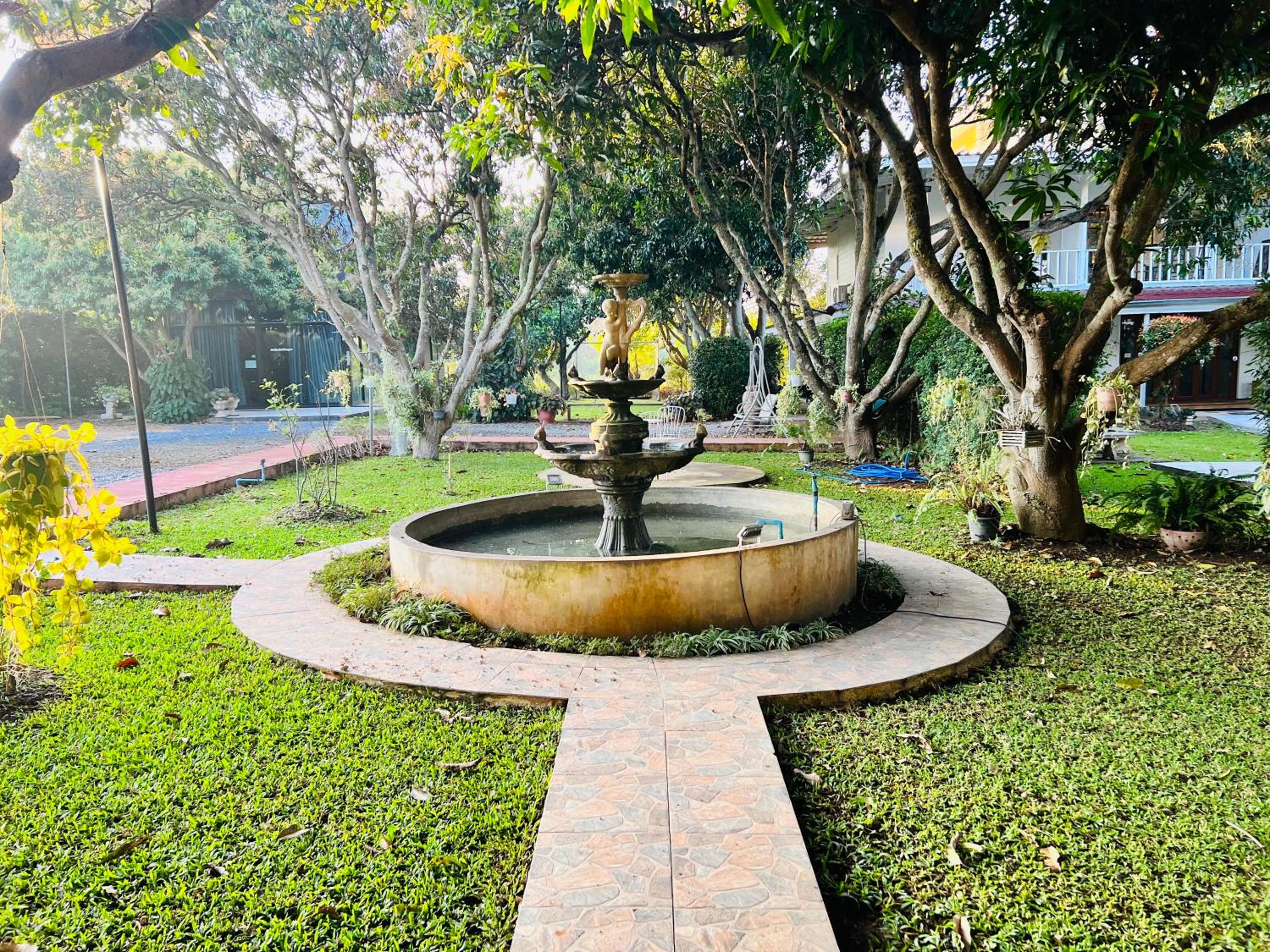 Jardin De Mangue Pakchong