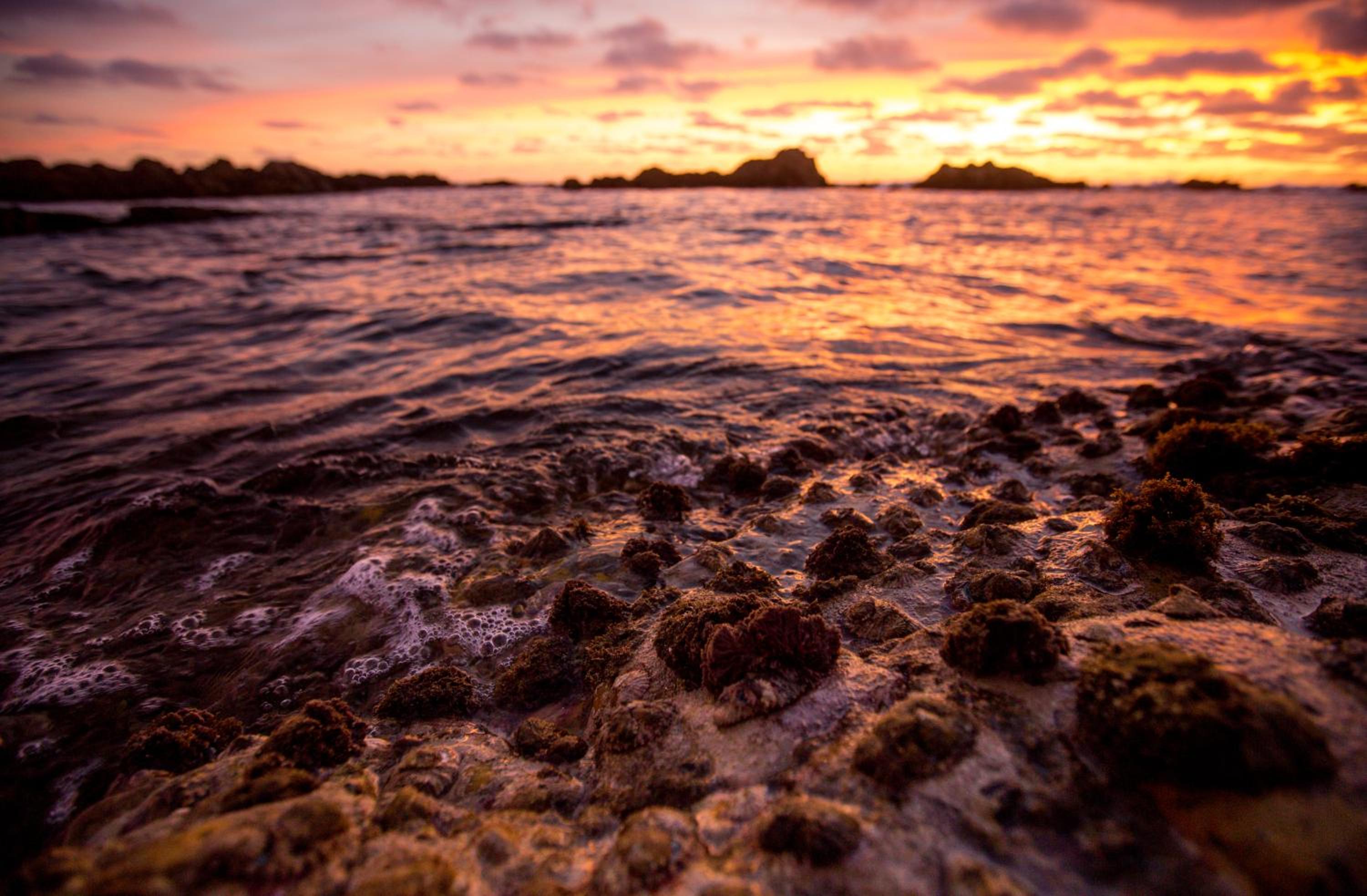 Gourikwa Coastal Nature Reserve