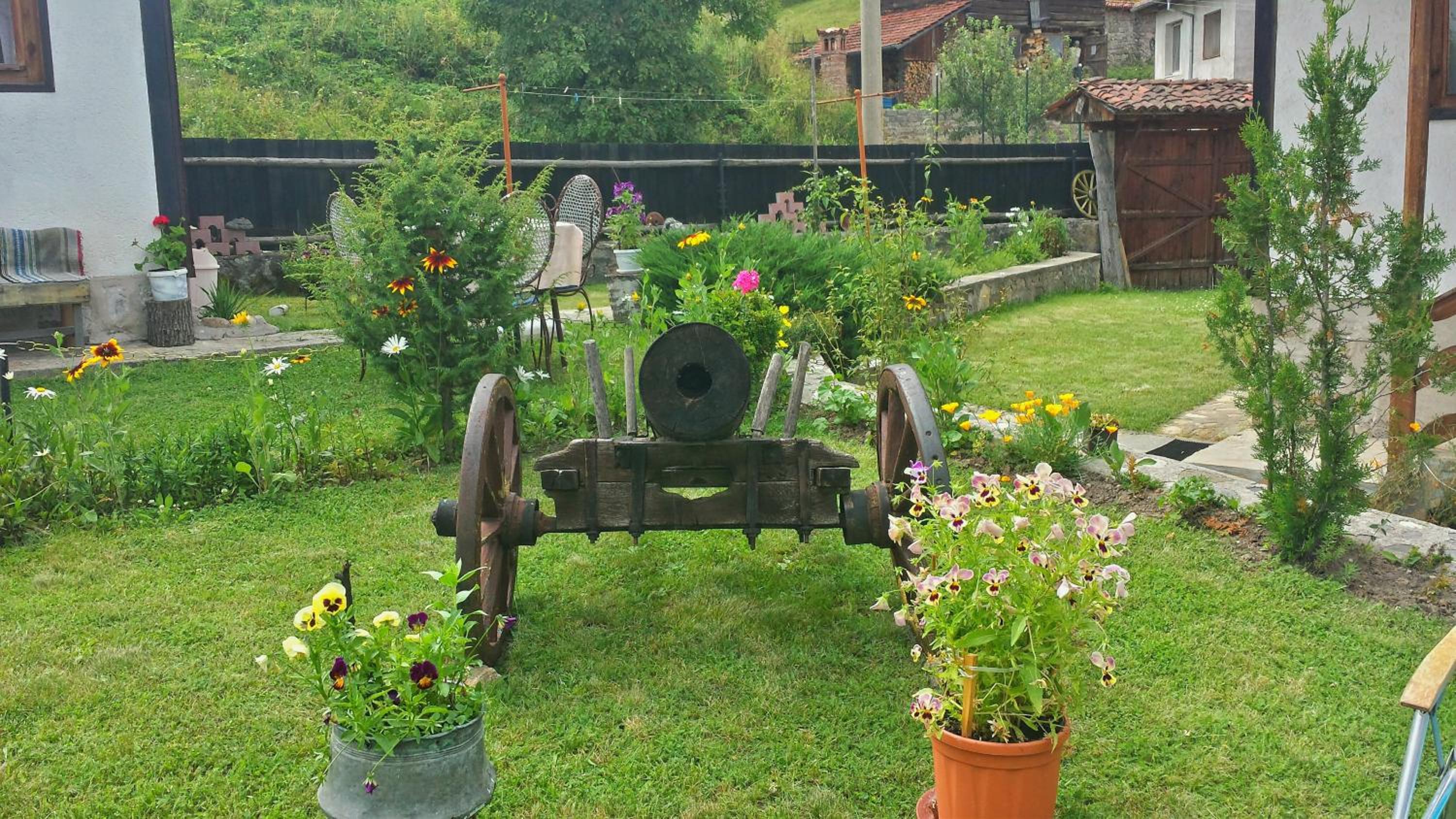 Mechta Guest House