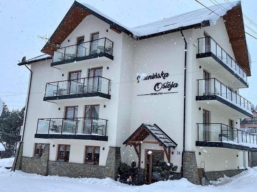 Hotel Pienińska Ostoja - Image 1