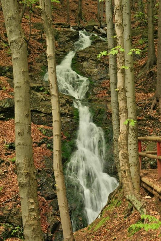 Photo 45