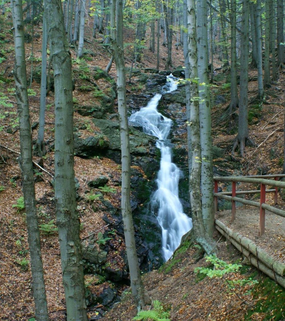Photo 48