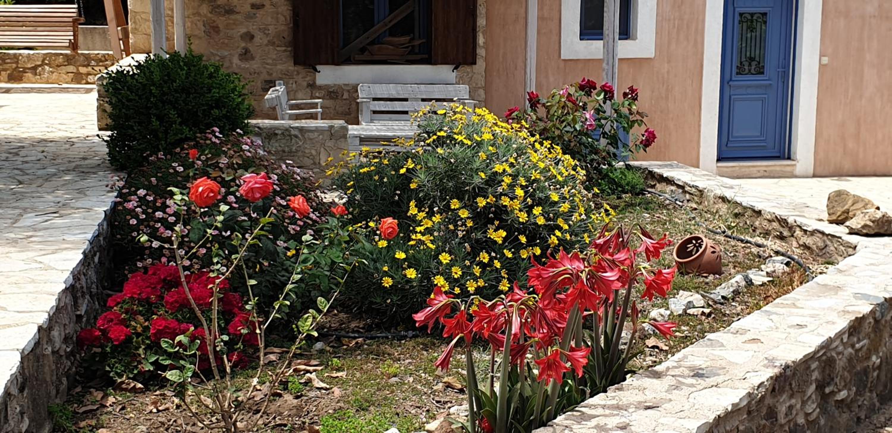 Chaihoutes stone villa into Olive farm in Zia
