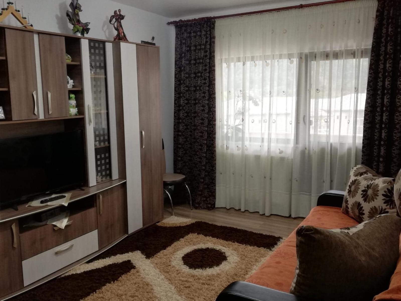 Apartament Ioana view 2