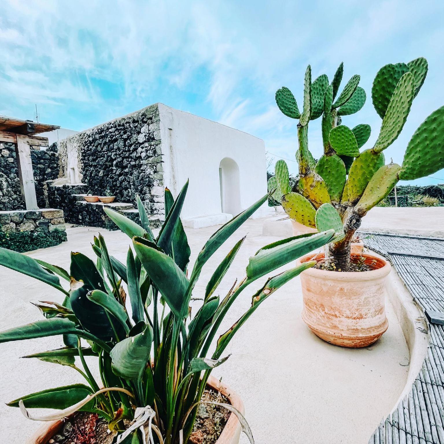 Etherea - I Dammusini di Pantelleria