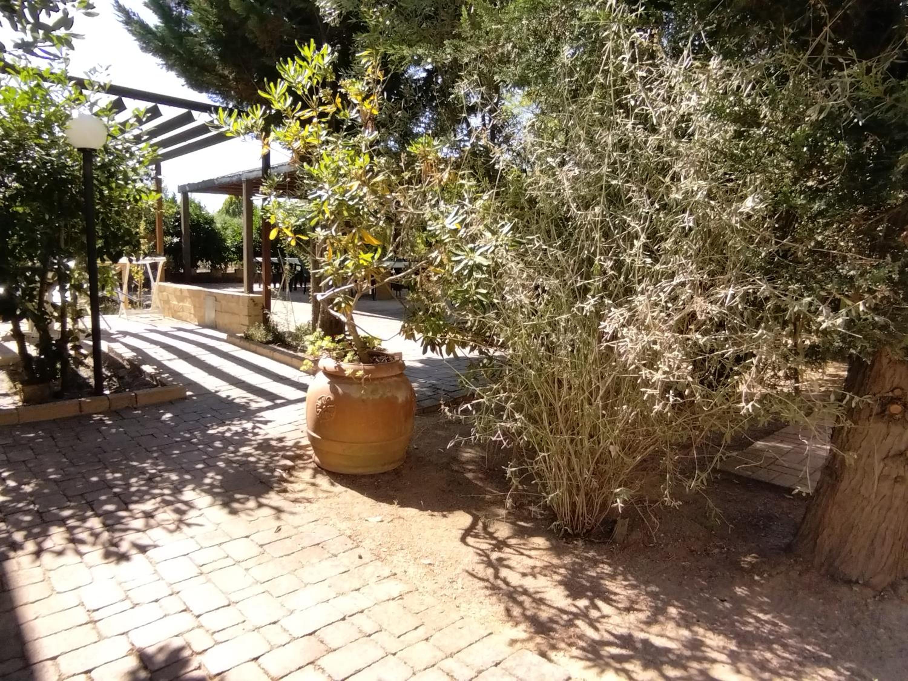 Azienda Agrituristica Le Betulle