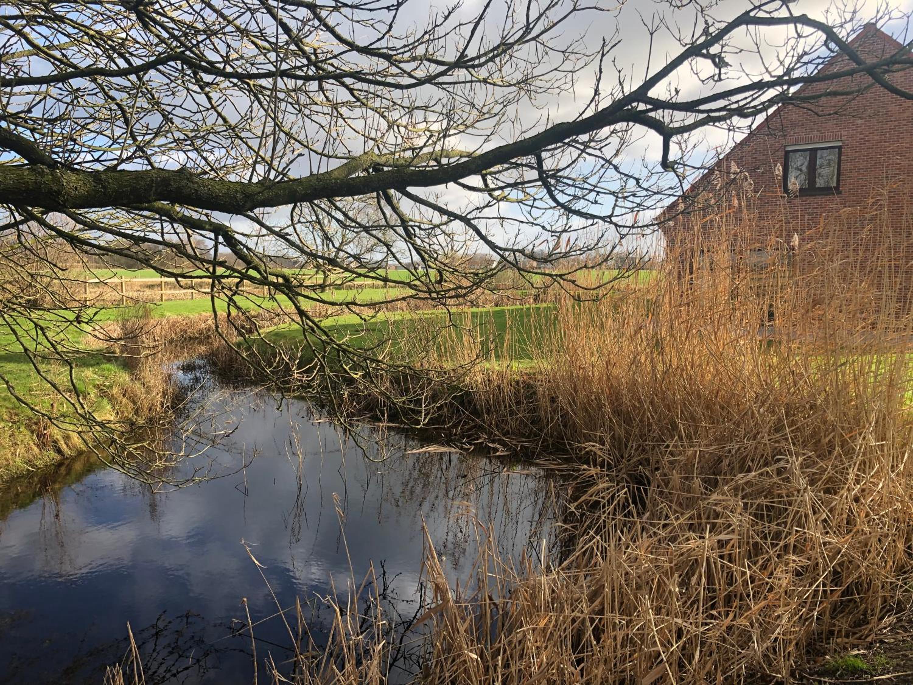 De Reynaarthoeve
