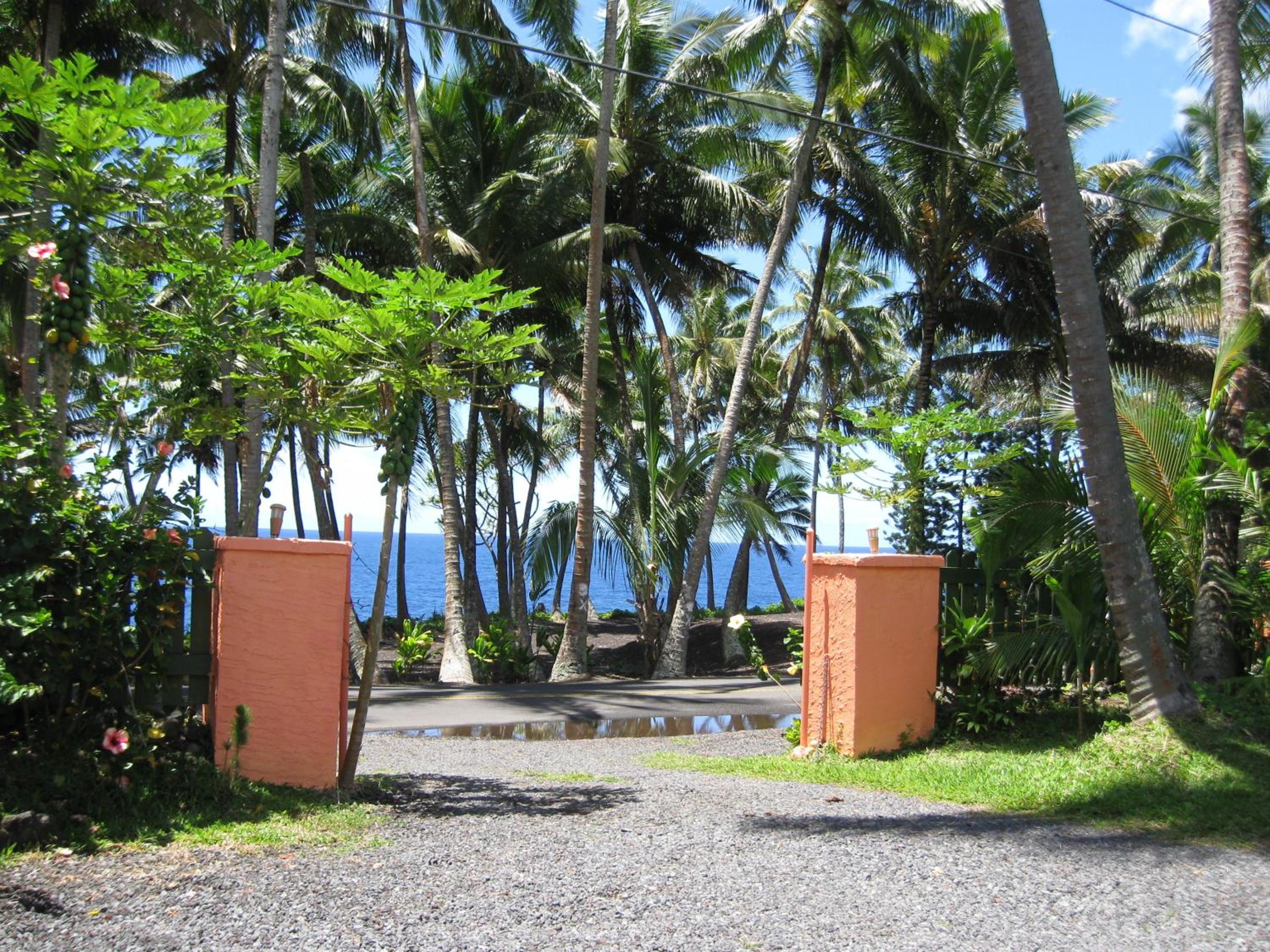Whale House at Kehena Beach
