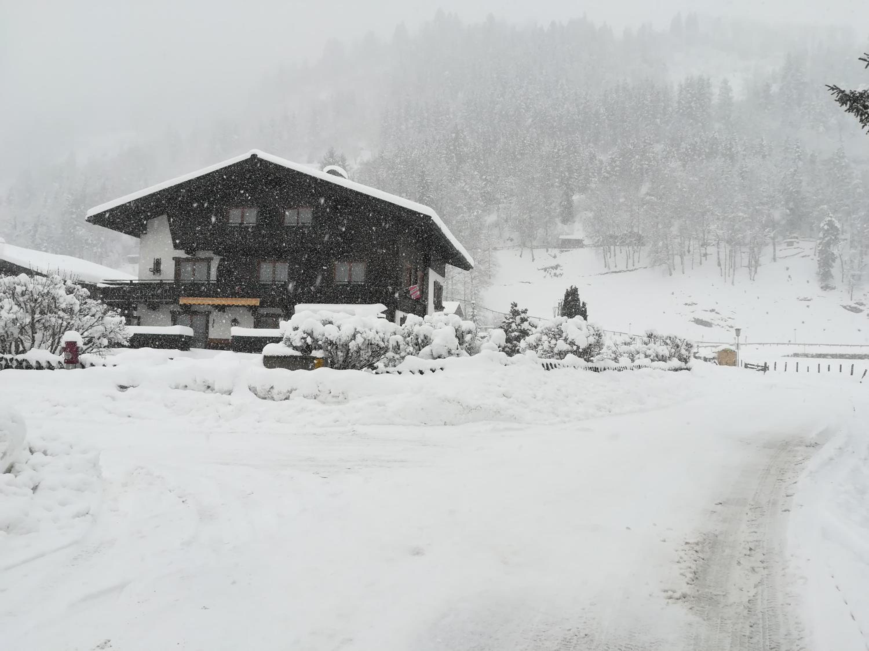 Pension Alpentraum
