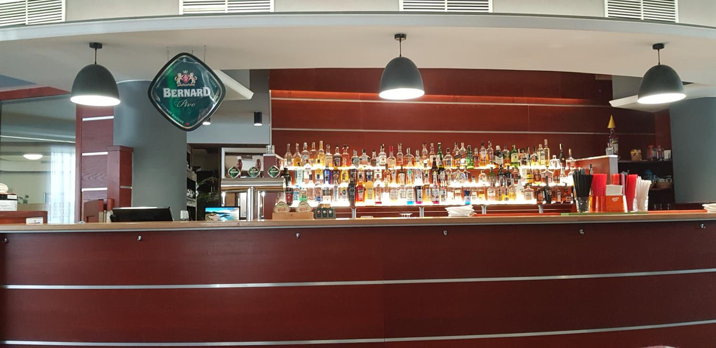 Wellness & SPA Lipno - Frymburk C410 view 5
