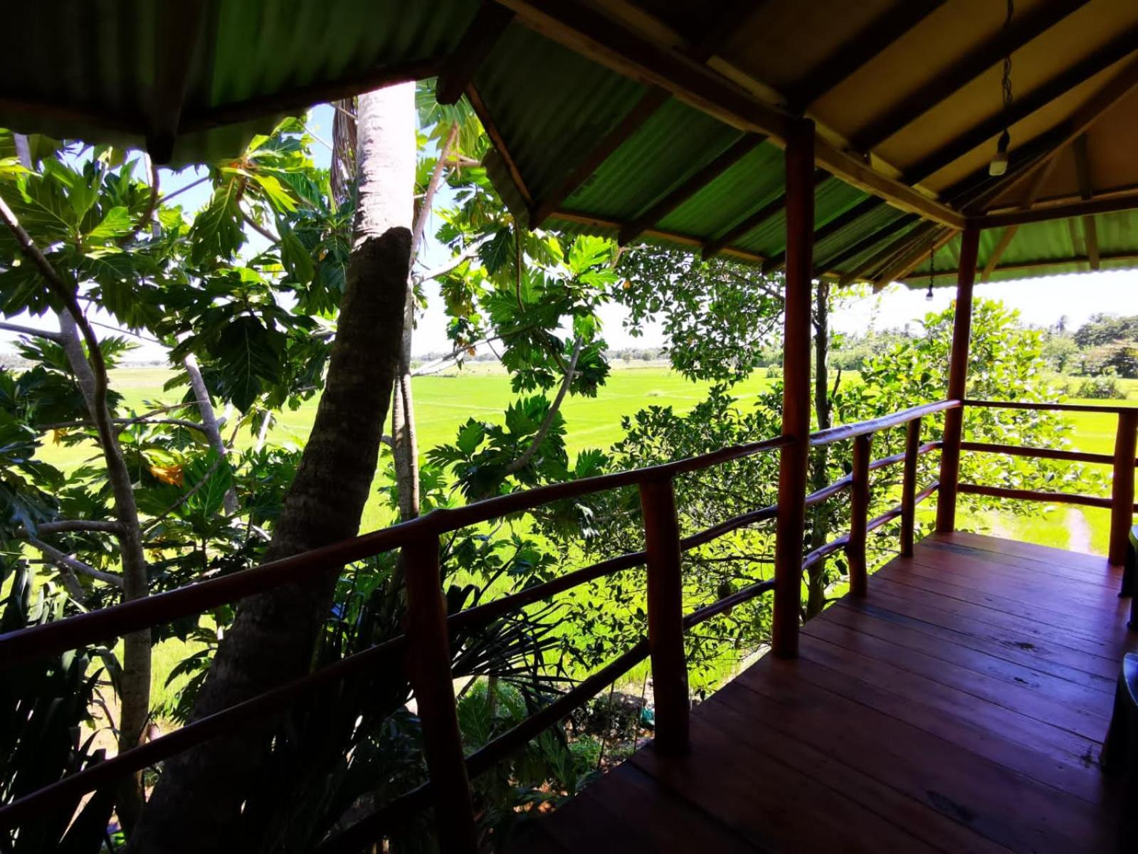 lake paradise cabana