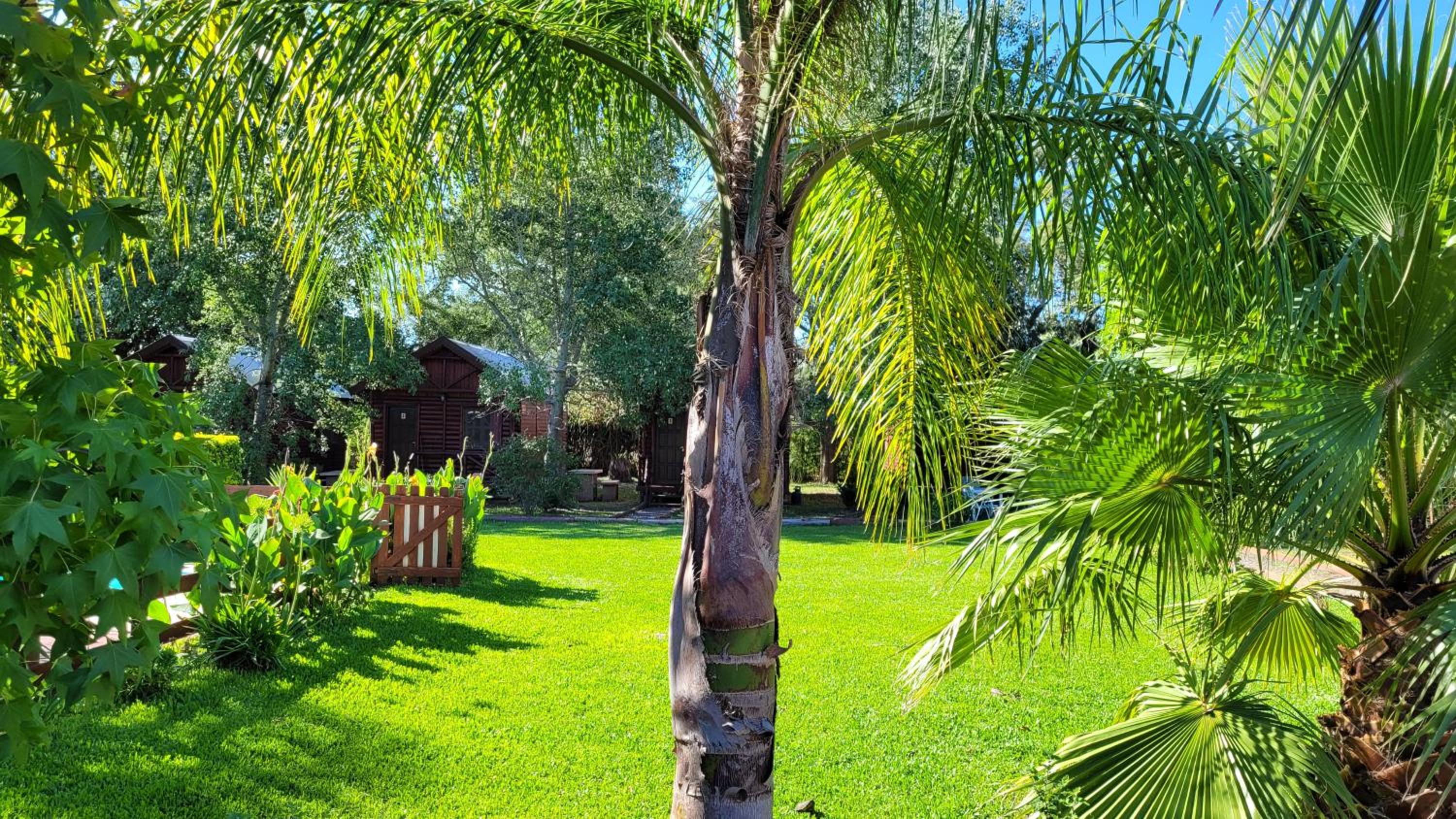 Cabañas Pulmahue