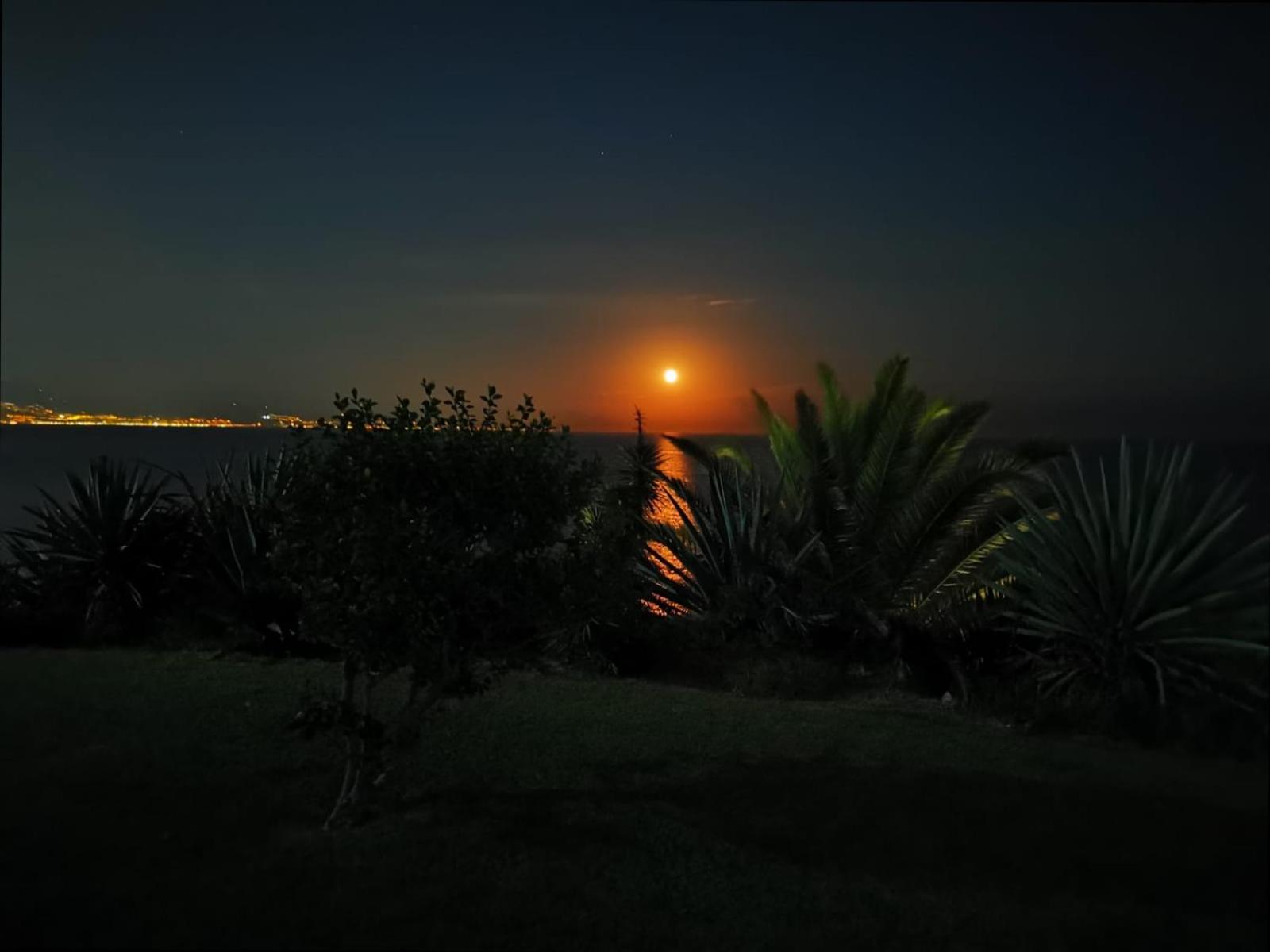 Torremolinos 1ª linea playa photo 4