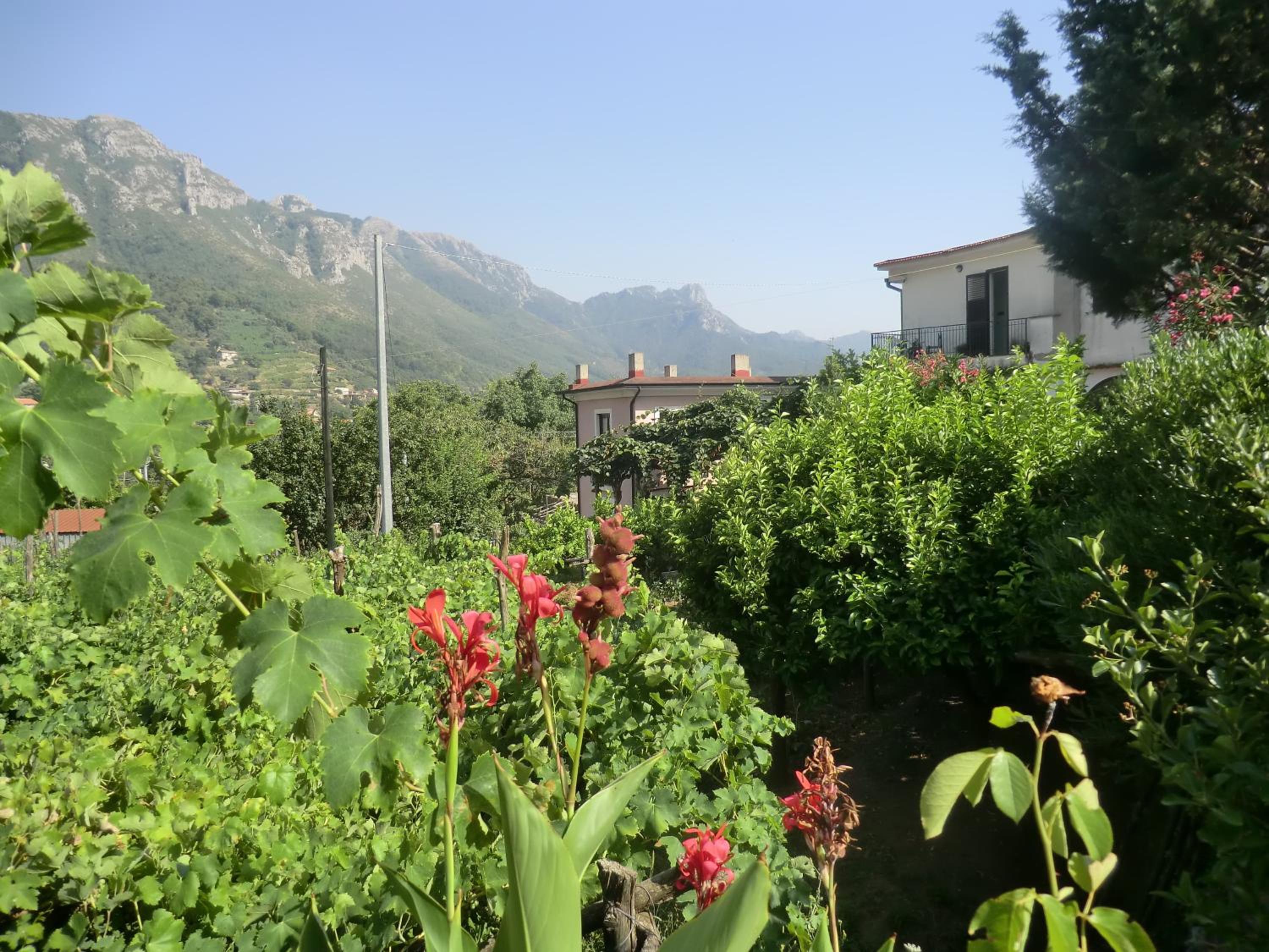 Agriturismo Mare e Monti